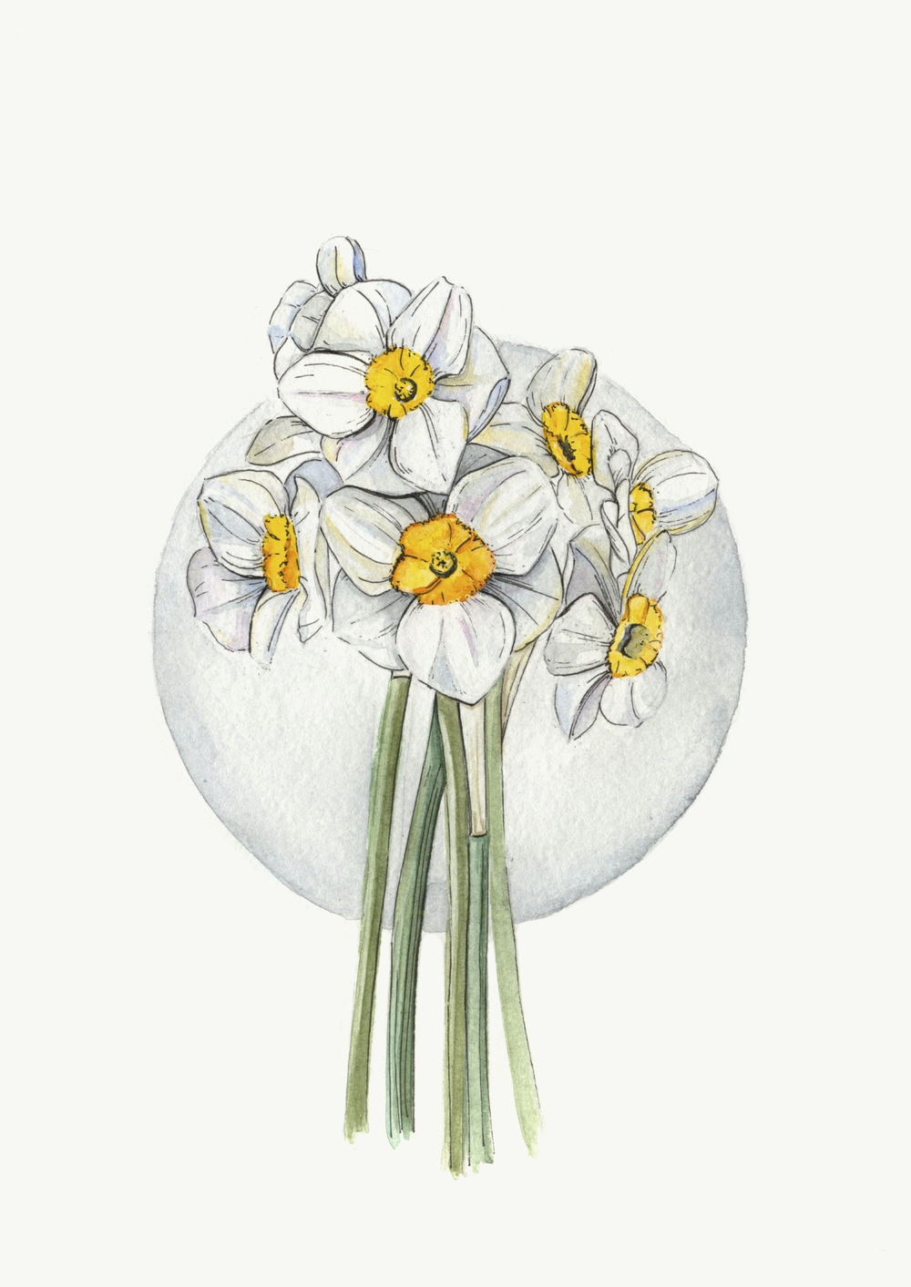 1000x1413  The Noisetier - ЗАГРУЗКИ