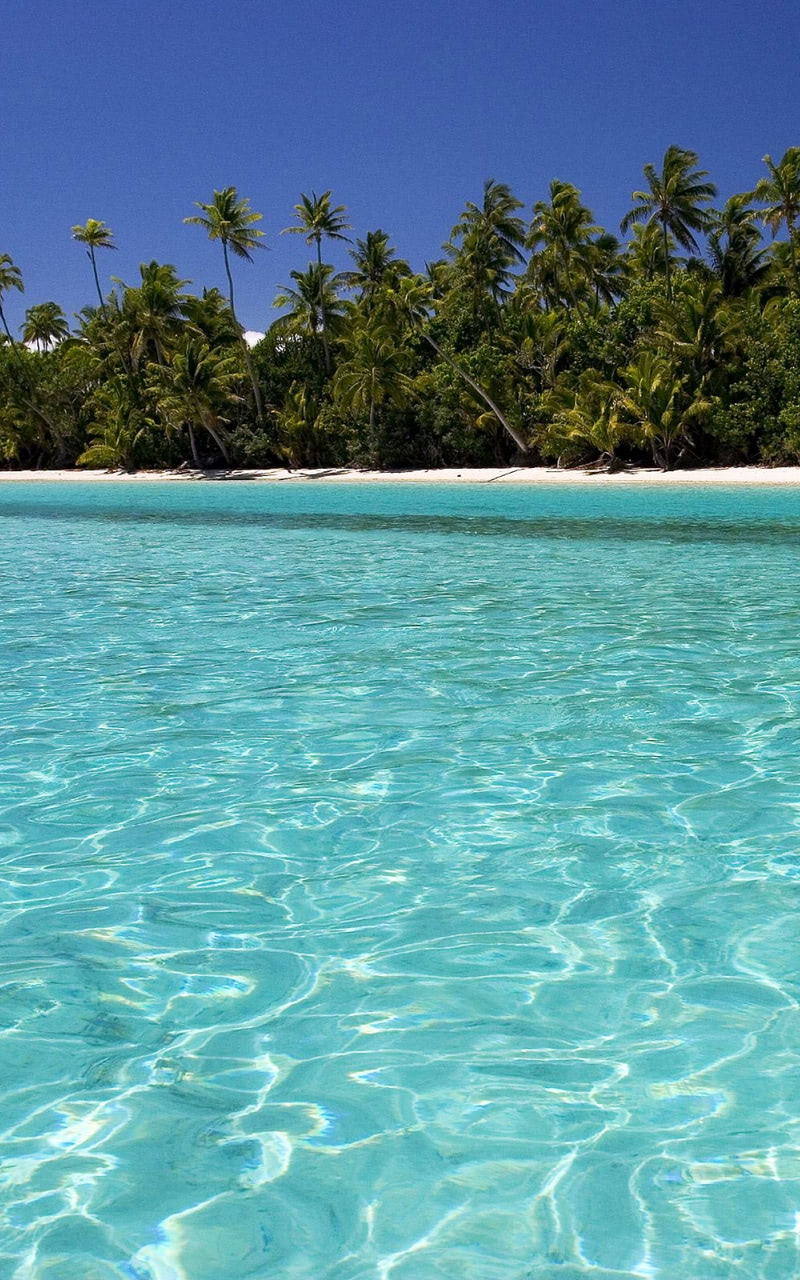 800x1280  Футбольные обои: Скачать бесплатно HD [500+ HQ] | Unsplash