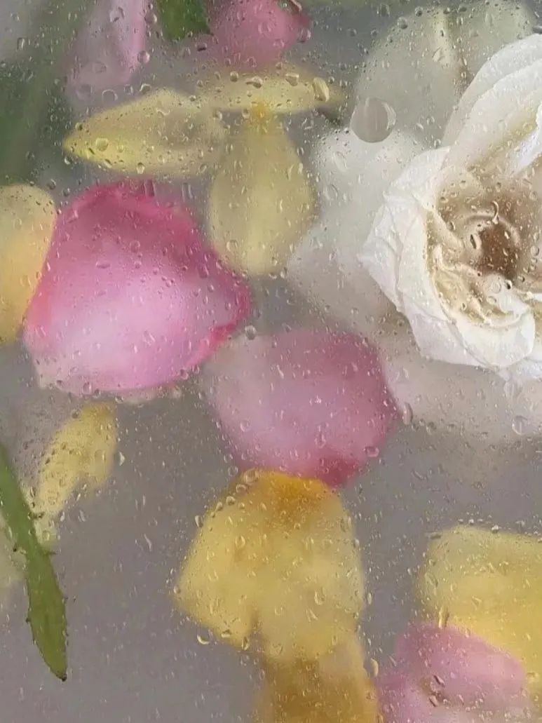 773x1031  Бубновый туз — карты для покера Ethereum | Открытое море