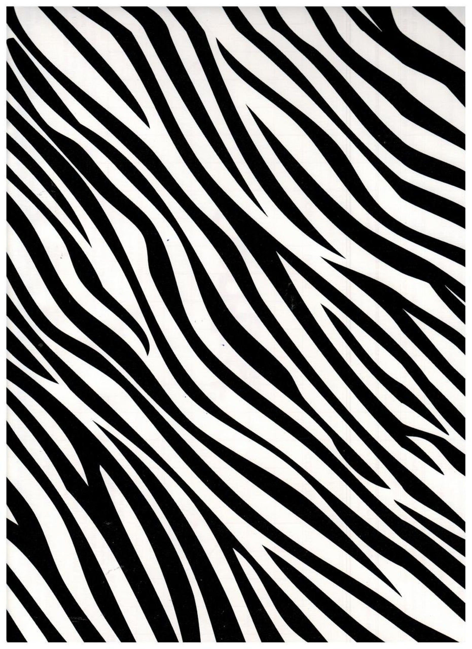 1588x2183  https://kalix.club/19956-oboi-na-telefon-zebra.html