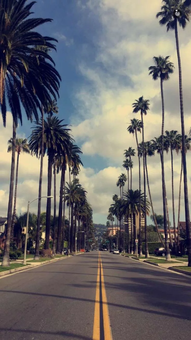 736x1308  los angeles вертикальные: 8 тыс изображений найдено в Яндекс.Картинках |  Tree wallpaper iphone, Best iphone wallpapers, Nature photography