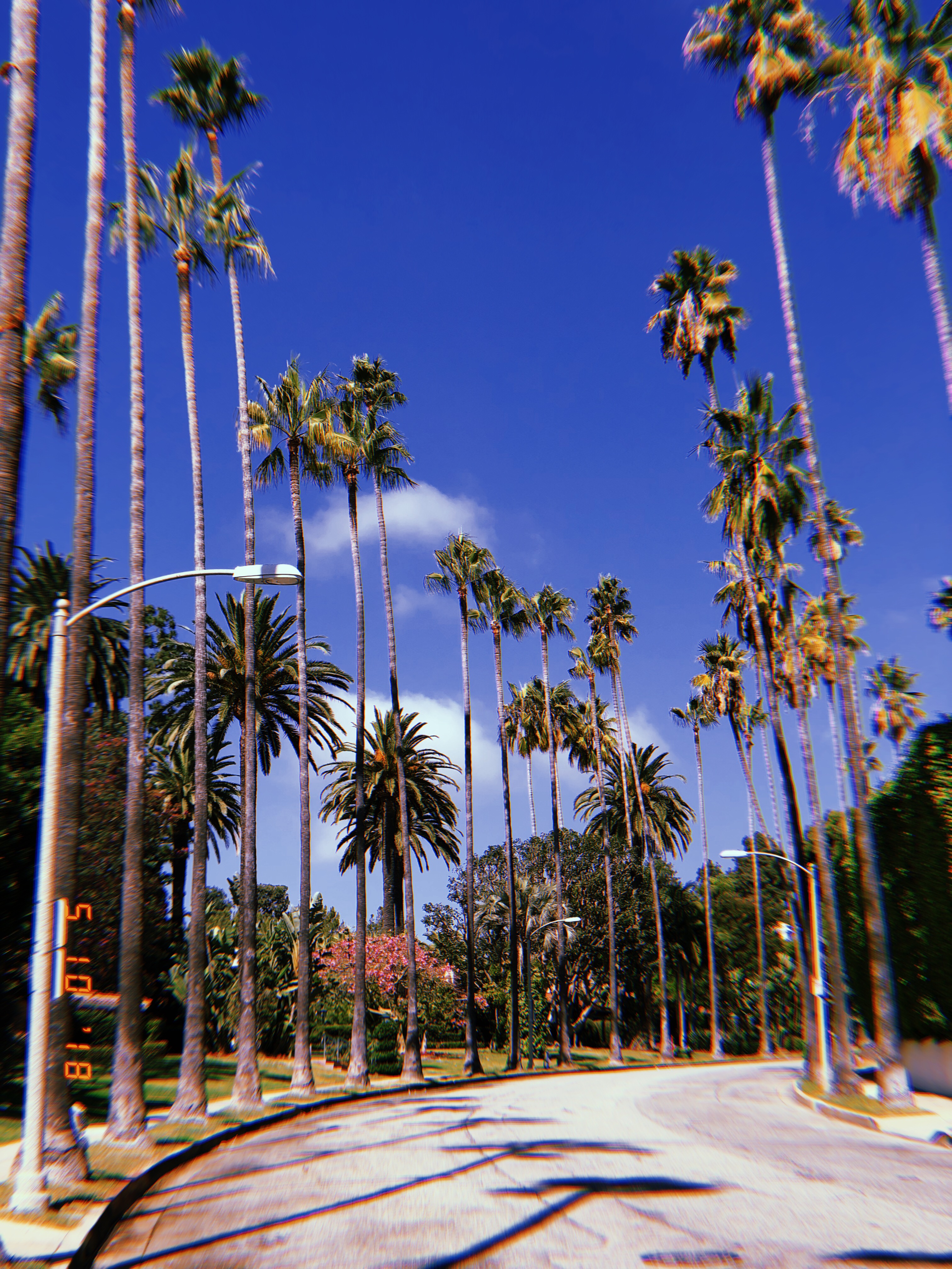 3024x4032  Голливуд обои на телефон, Голливуд HD картинки, фото скачать бесплатно