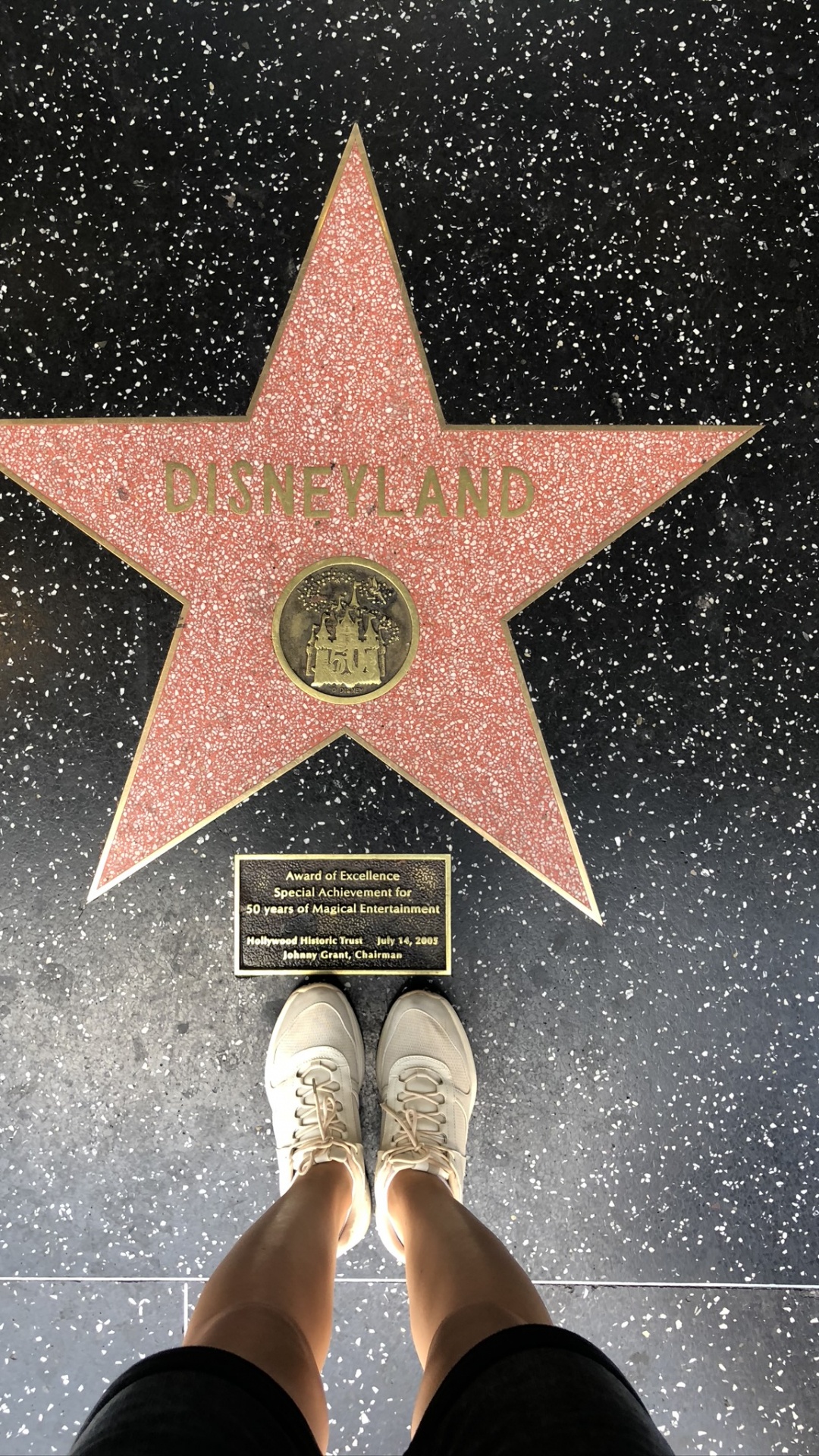 1080x1920  Скачать Голливудские Обои APK для Android