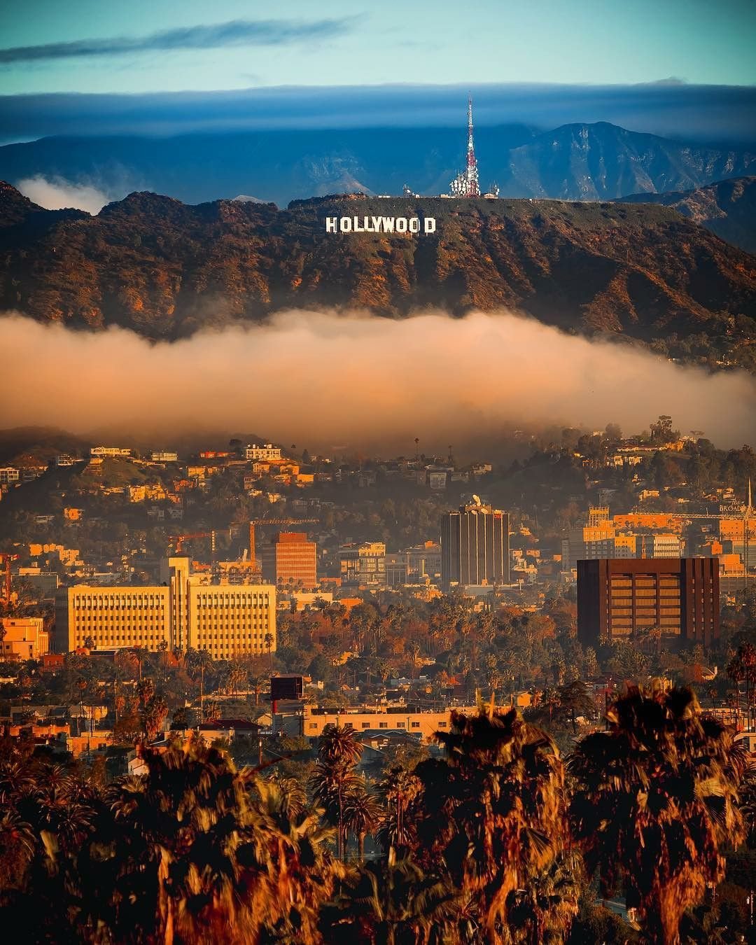 1080x1350  Timon and Pumba The Lion King HD Mobile Wallpaper.