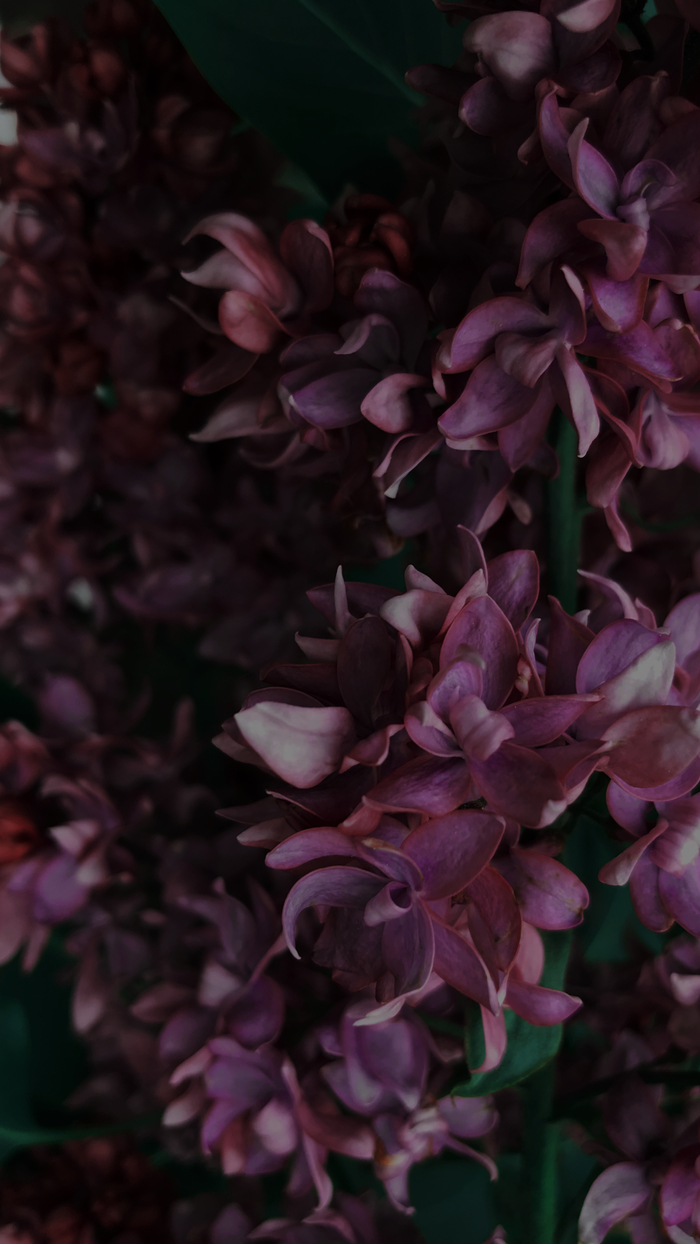 700x1244  krsvch — все посты пользователя