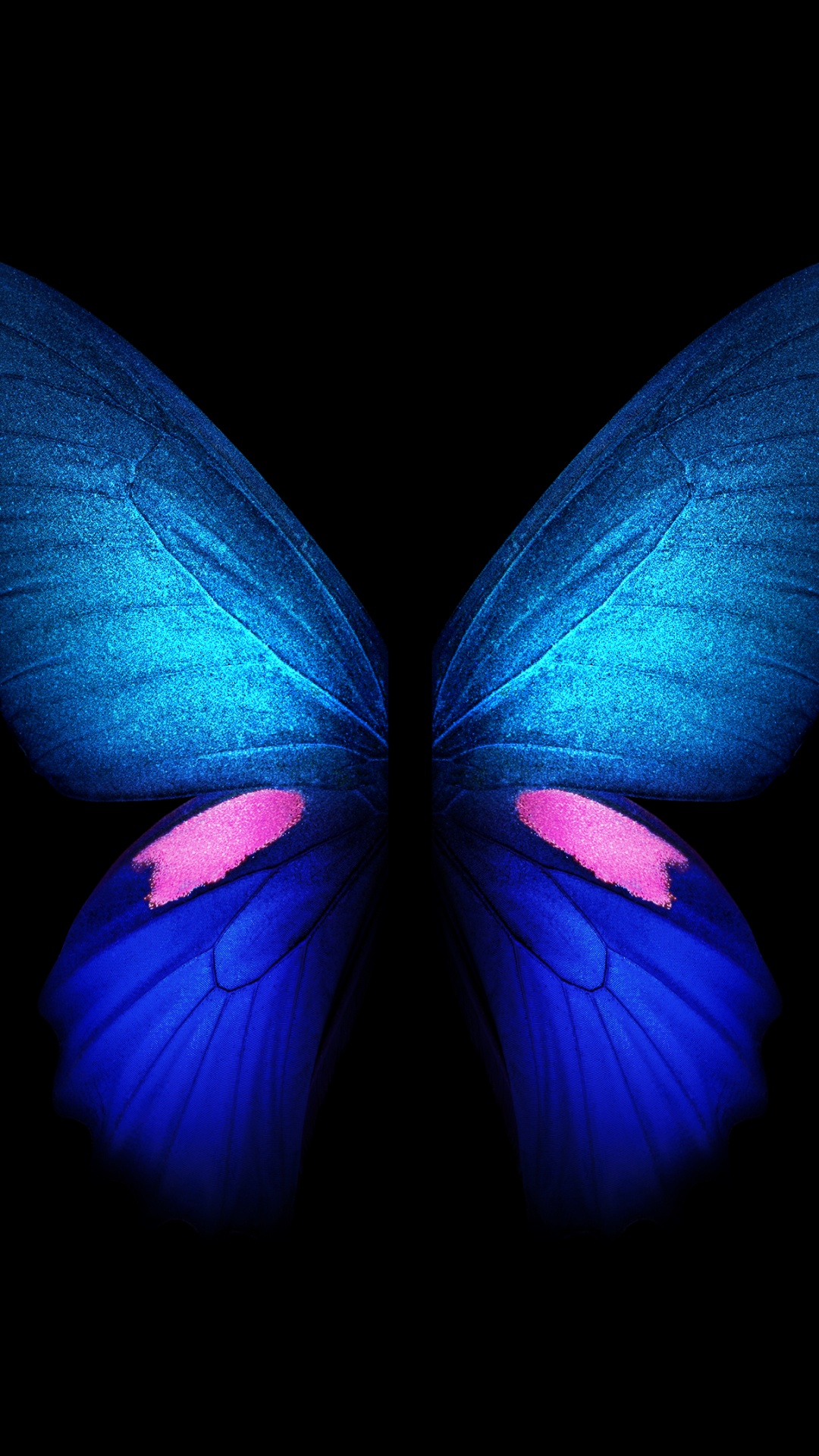 1080x1920  1080x1920 Butterfly Wallpapers for IPhone 6S /7 /8 [Retina HD]
