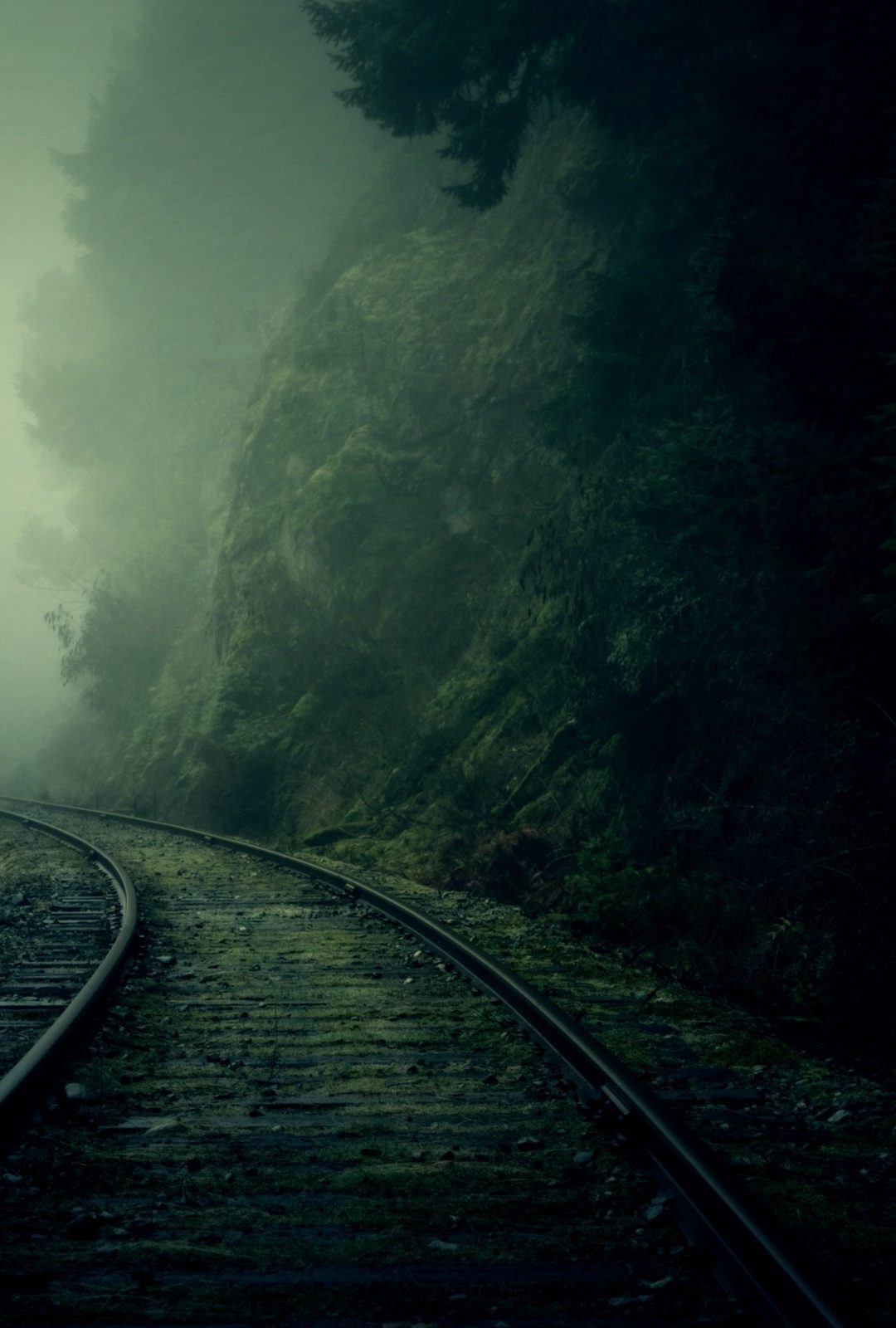 1080x1600  Заброшенная железная дорога | DeskArt