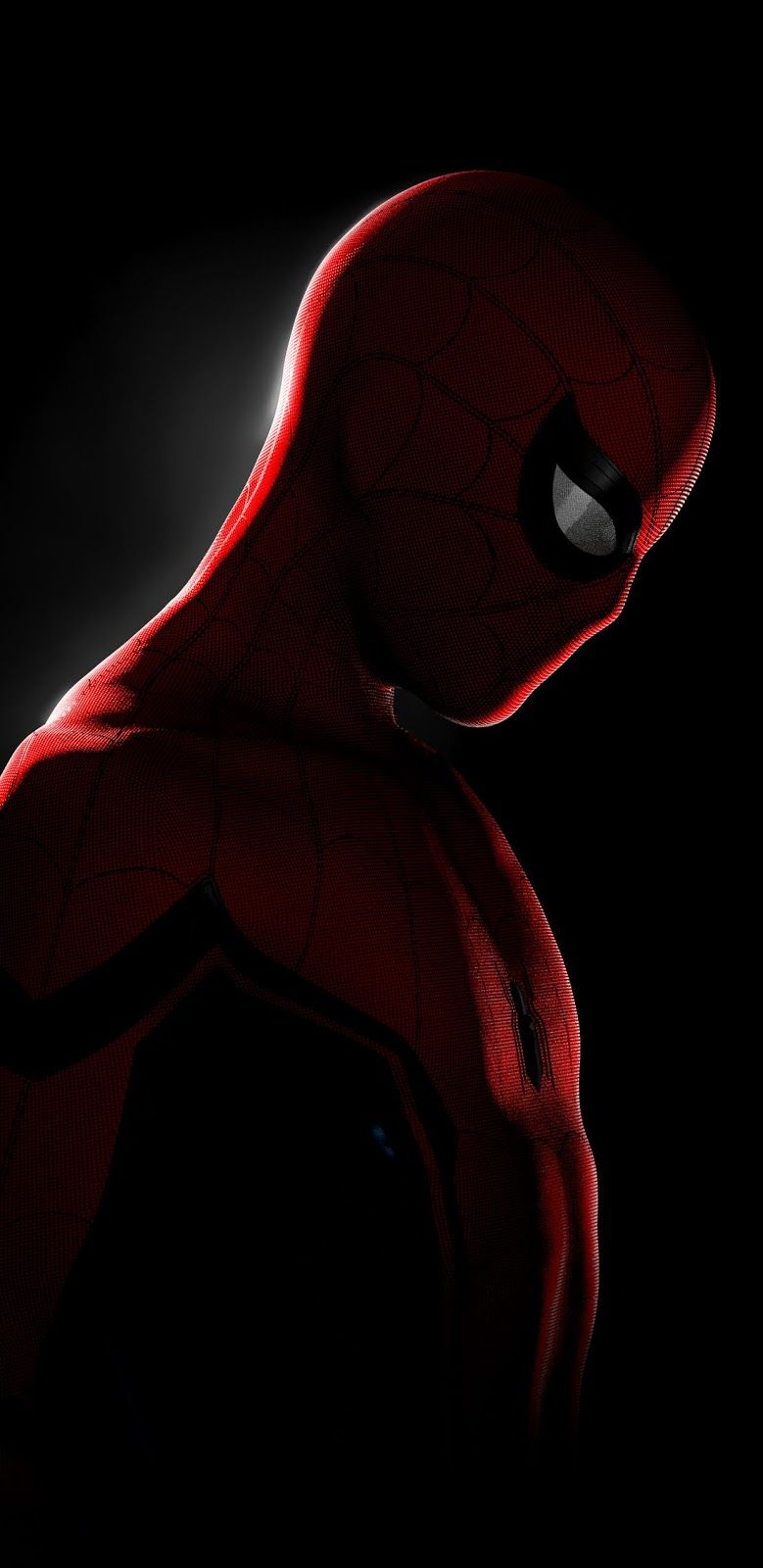 779x1600  Spiderman In the Dark | Marvel phone wallpaper, Marvel wallpaper, Superhero  wallpaper