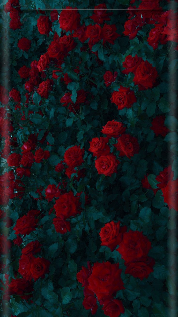 736x1308  Pin by Irina Irina on Обои телефон (1080*1920) | Floral wallpaper iphone,  Beautiful wallpapers, Landscape wallpaper