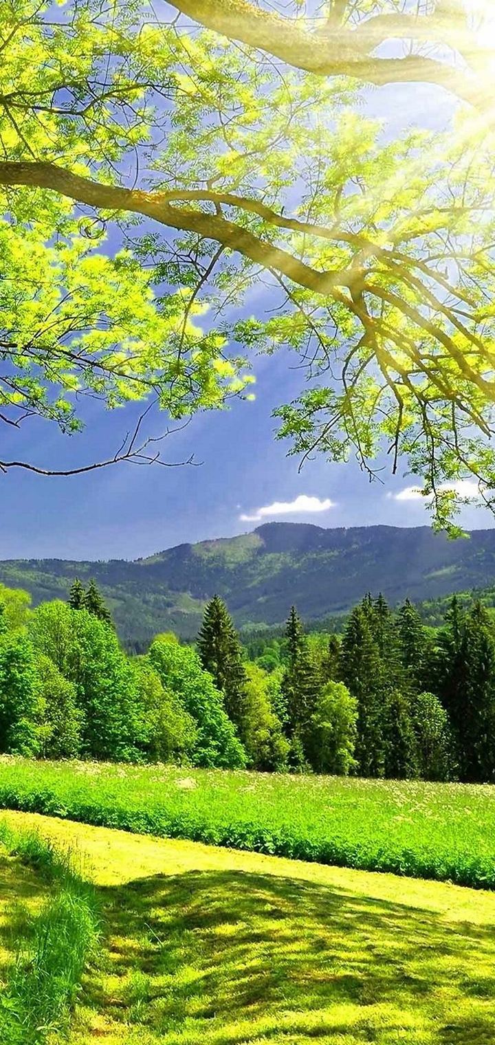 720x1520  HD обои для мобильного телефона — S128 720x1520 — Обои для отдыха