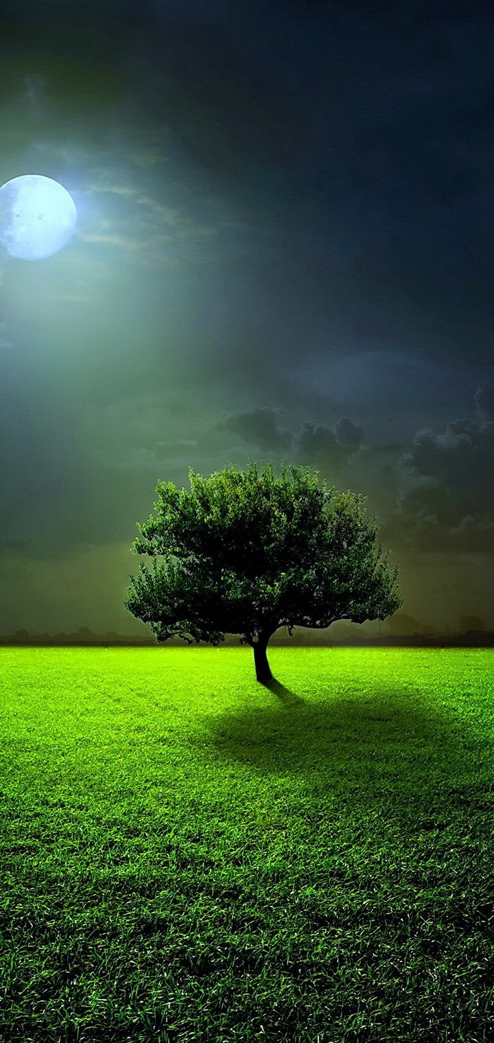 720x1520  Обои для мобильного телефона 720x1520 — S266 — Обои для отдыха