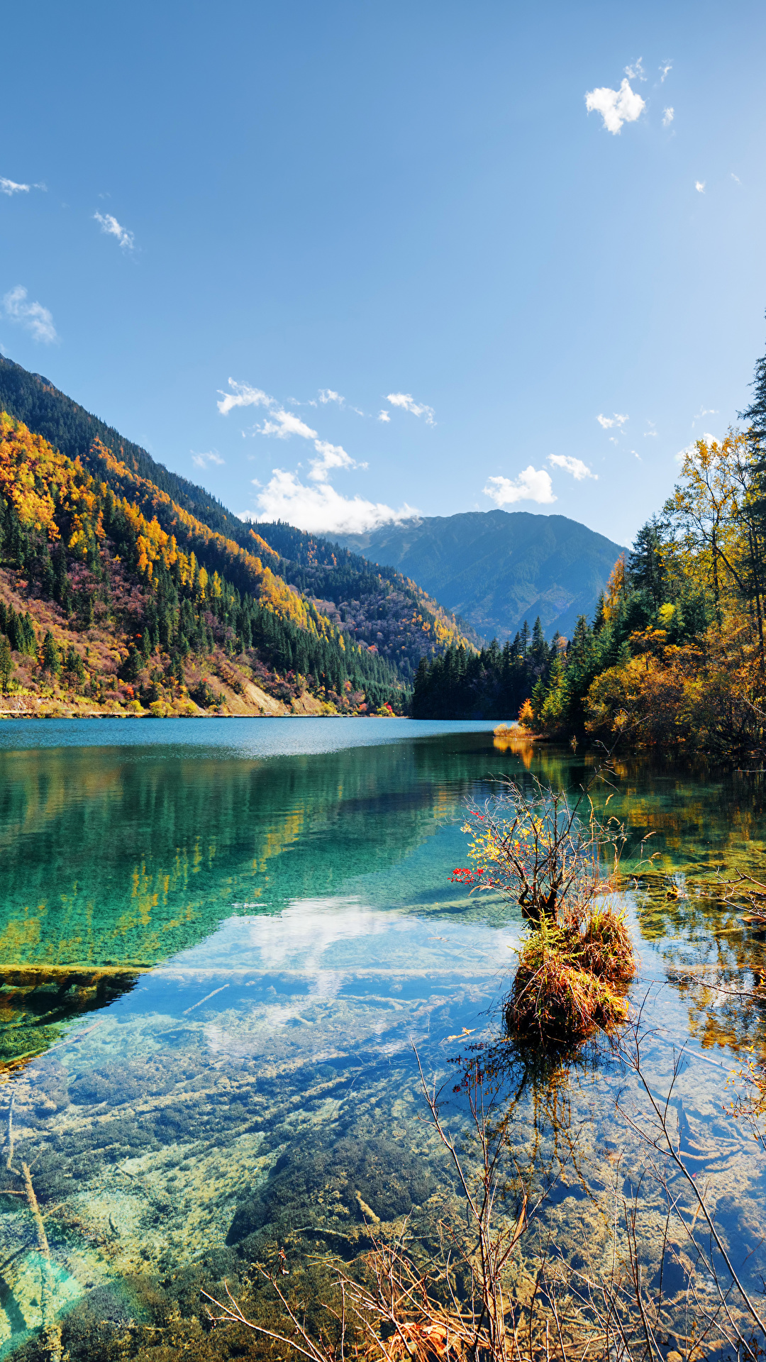 1080x1920  Image Jiuzhaigou park China Nature Autumn mountain park 1080x1920