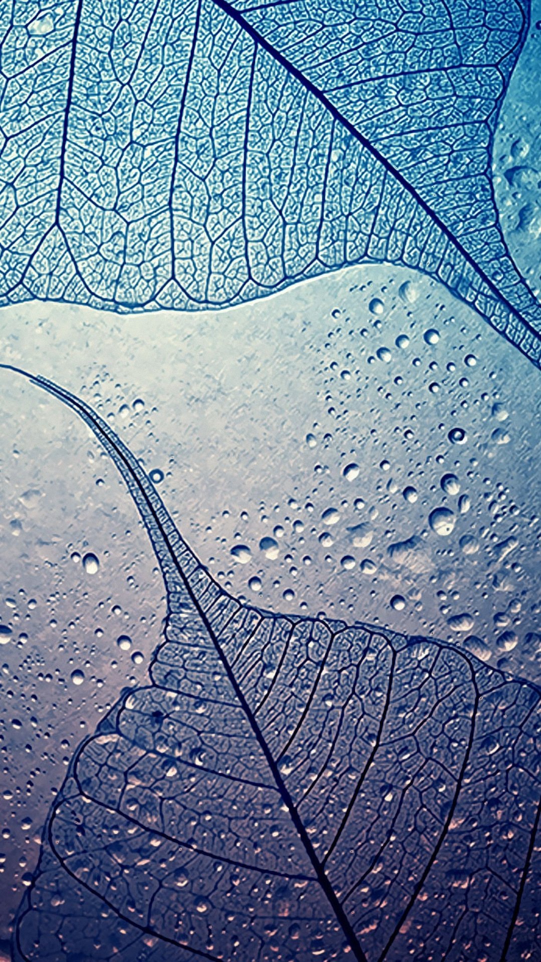 1080x1920  Вертикальные обои на смартфон высокого разрешения - фото и картинки  abrakadabra.fun