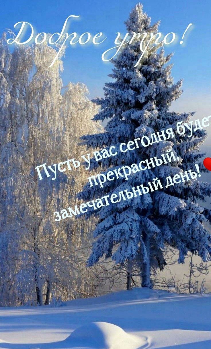 736x1219  Пин от пользователя Сергей Иванов на доске Быстрое сохранение в 2023 г |  Смешные открытки, Открытки, Смешно