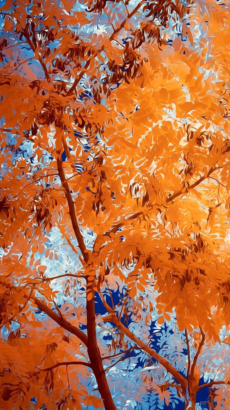 736x1308  Картинки осень на заставку телефона (100 фото) • Прикольные картинки и  позитив