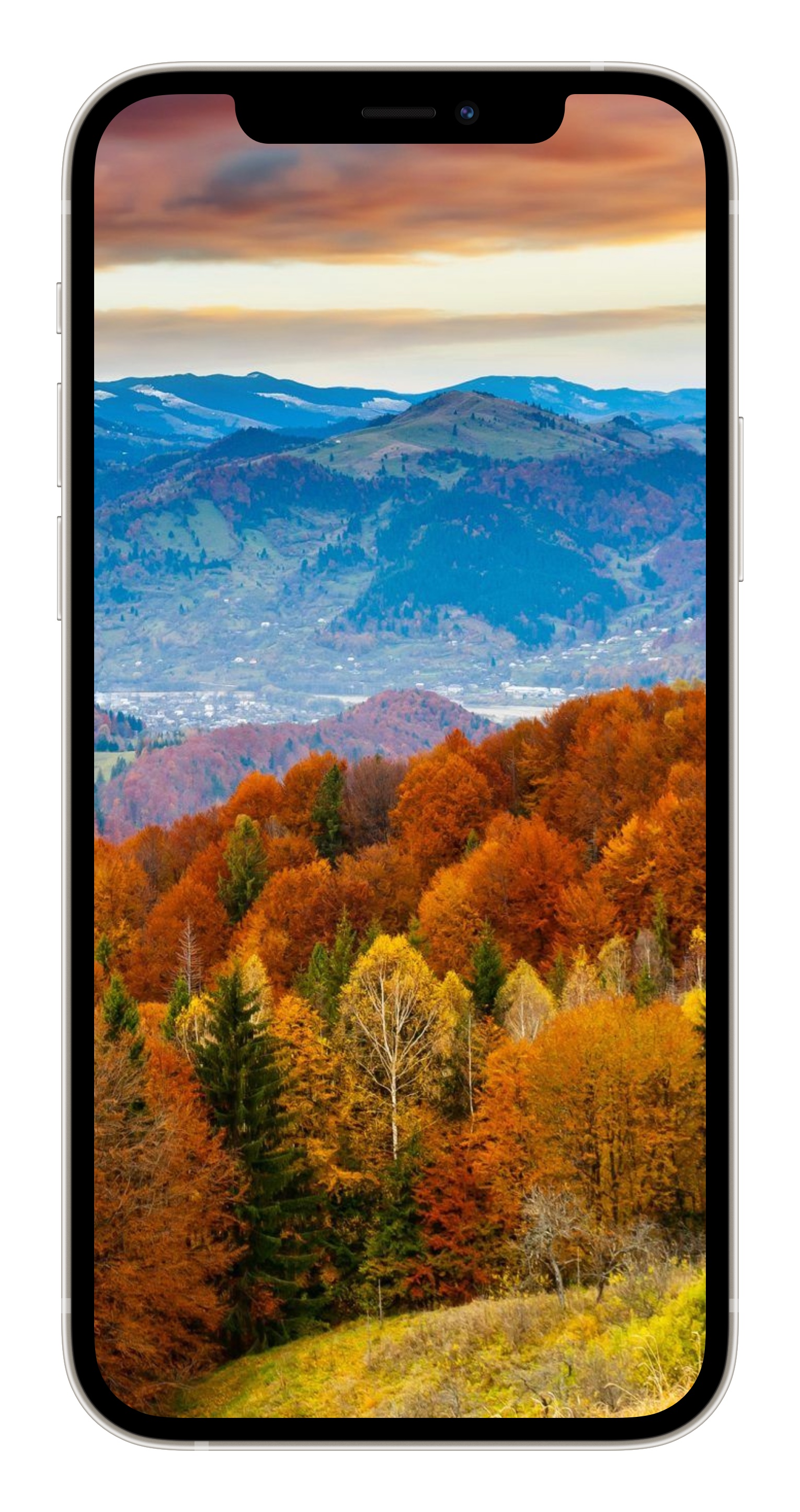 1530x2892  Обои на телефон высокого качества вертикальные осенние пейзажи - фото и  картинки abrakadabra.fun