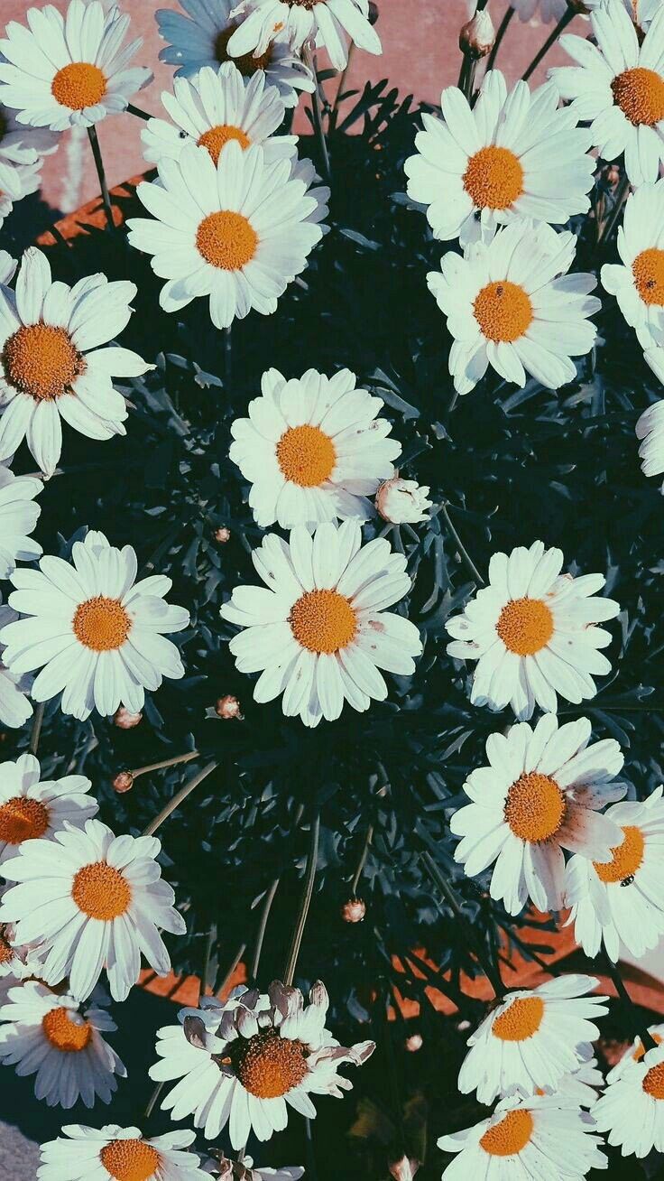 736x1308  Обои флизелиновые песочные в полоску серые глянцевые 32515