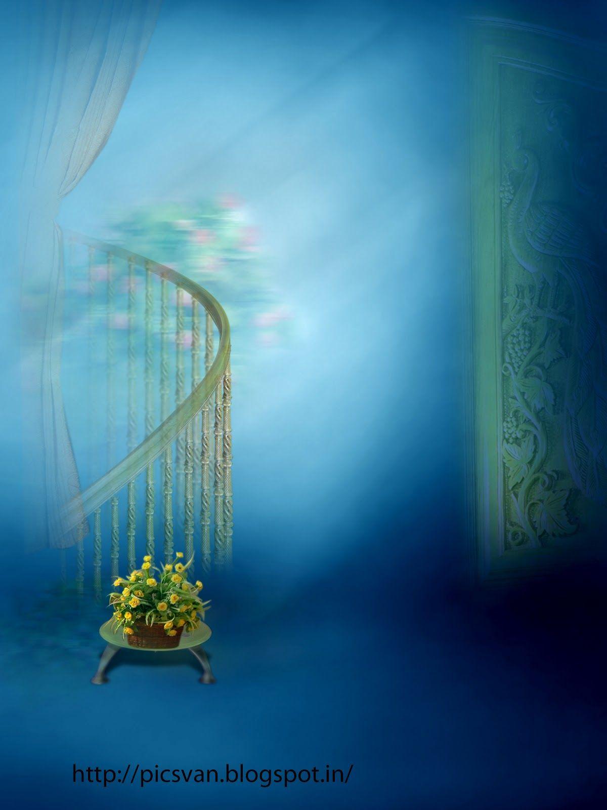 1200x1600  Обои сфера, 4k, HD обои, фон, закат, прозрачный, растение, OS #245