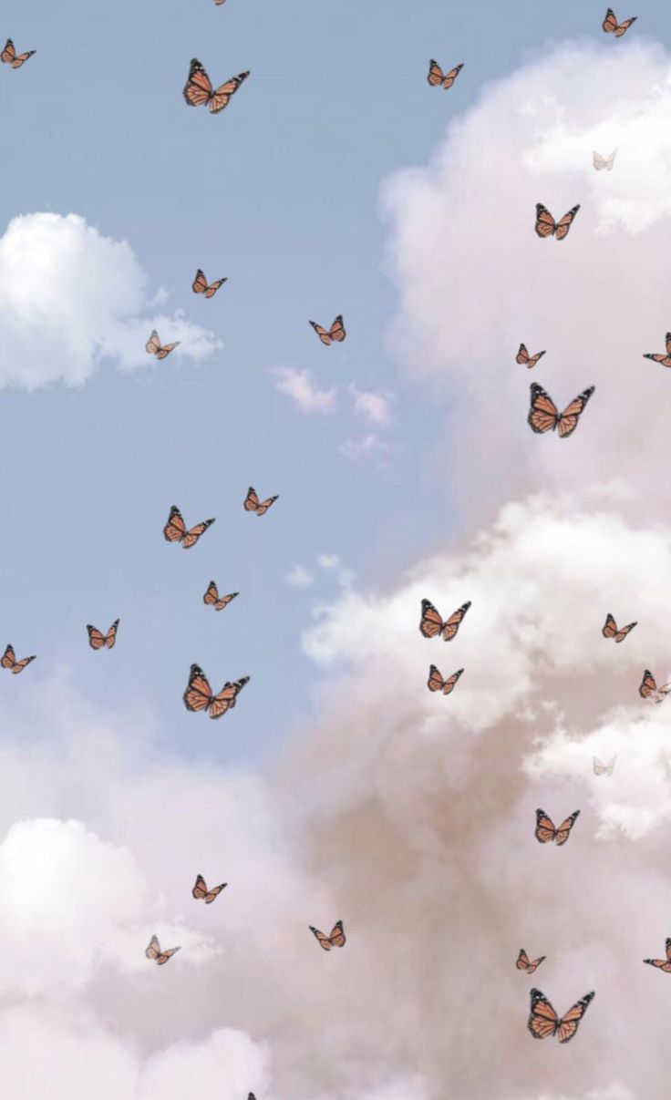 736x1207  Голуби, летящие сквозь солнце, фоновое изображение обоев для бесплатного скачивания - Pngtree