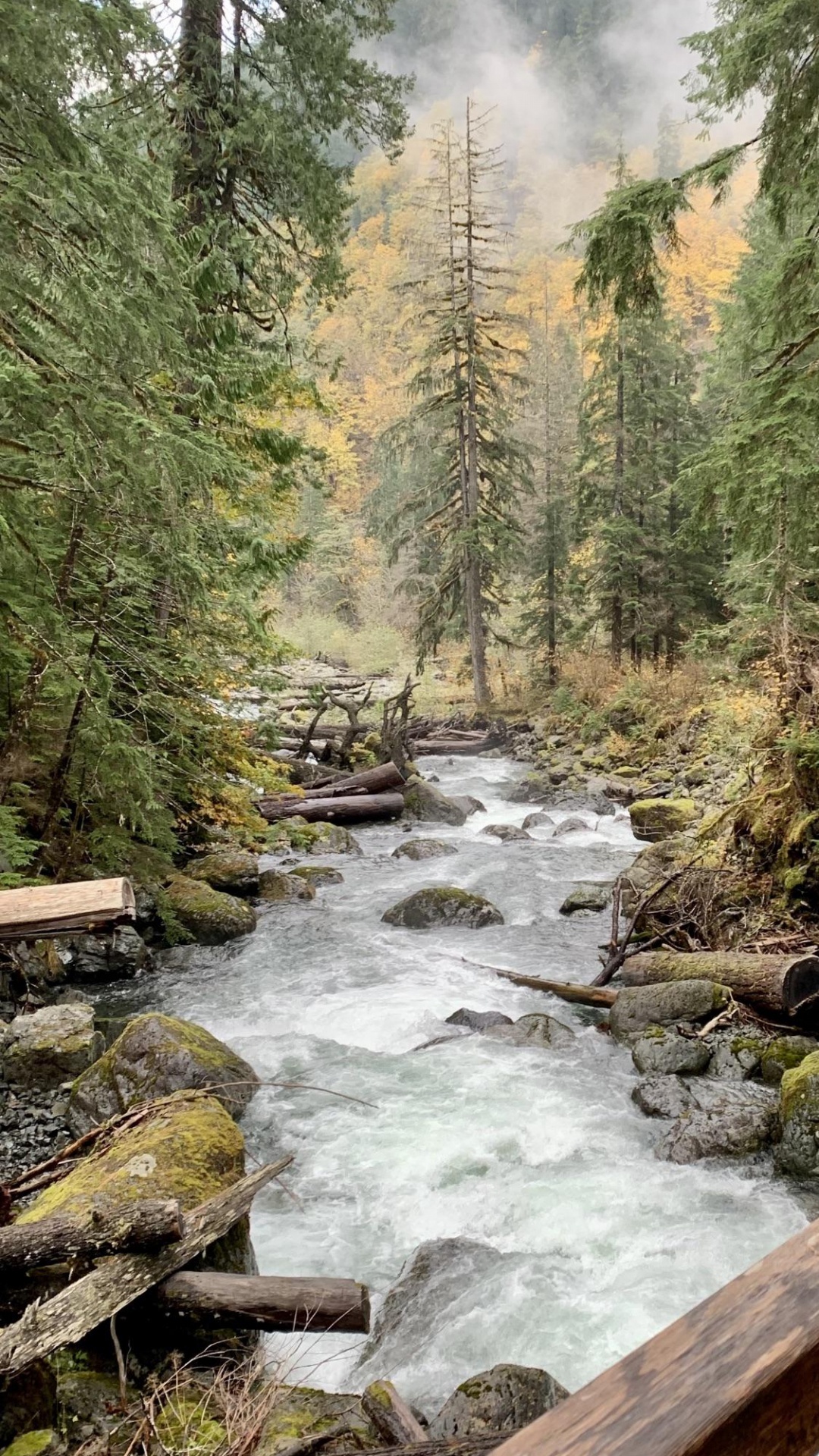 1080x1920  Обои природа, вода, растение, природный ландшафт, окружающая среда на  телефон Android, 1080x1920 картинки и фото бесплатно