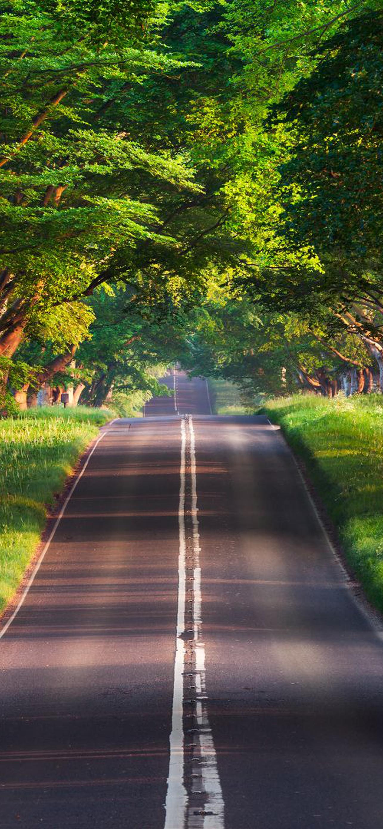 1284x2778  Природа обои на телефон [28+ изображений]