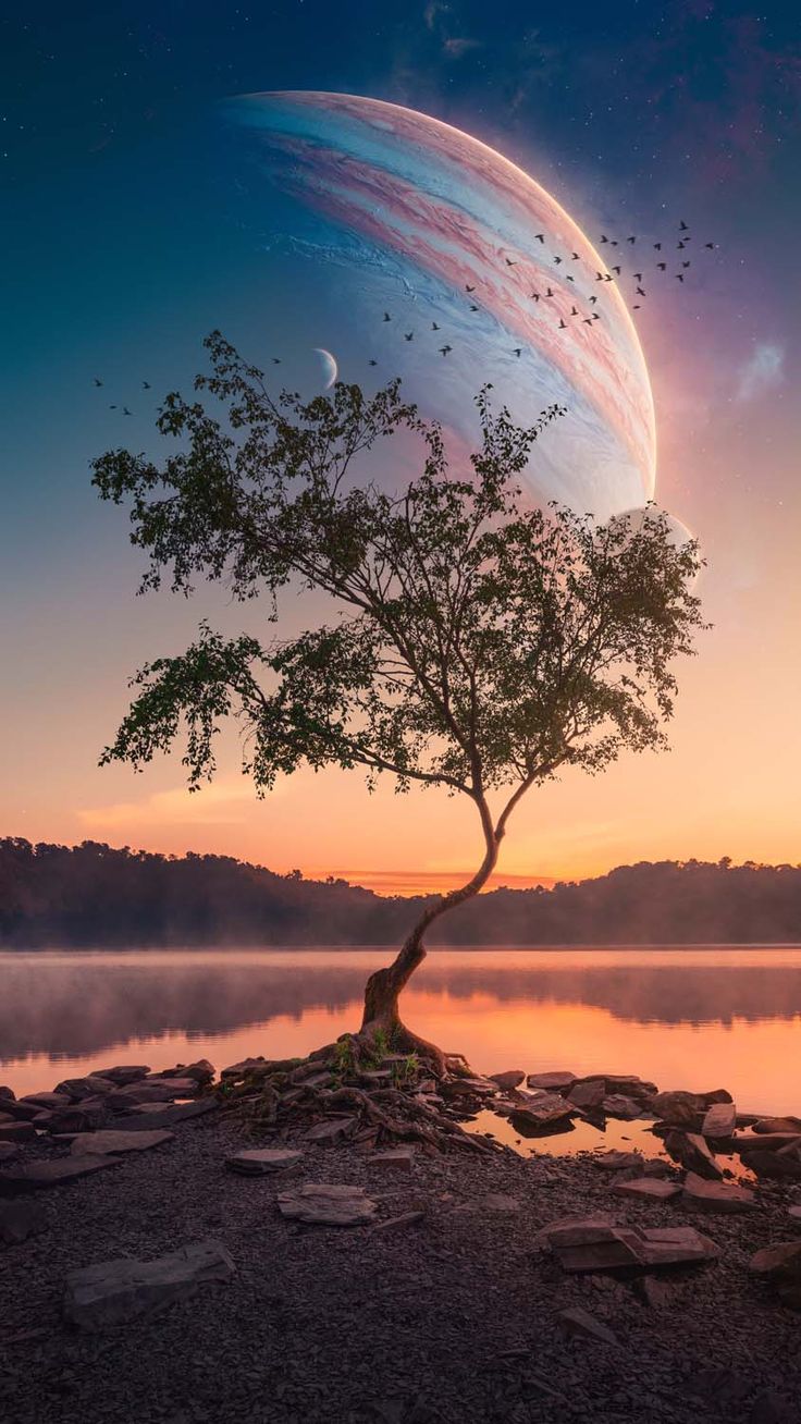 736x1308  Дерево Юпитера iPhone обои HD — обои для iPhone в 2023 году | Обои для iPhone, Хипстерские обои, Галактические обои