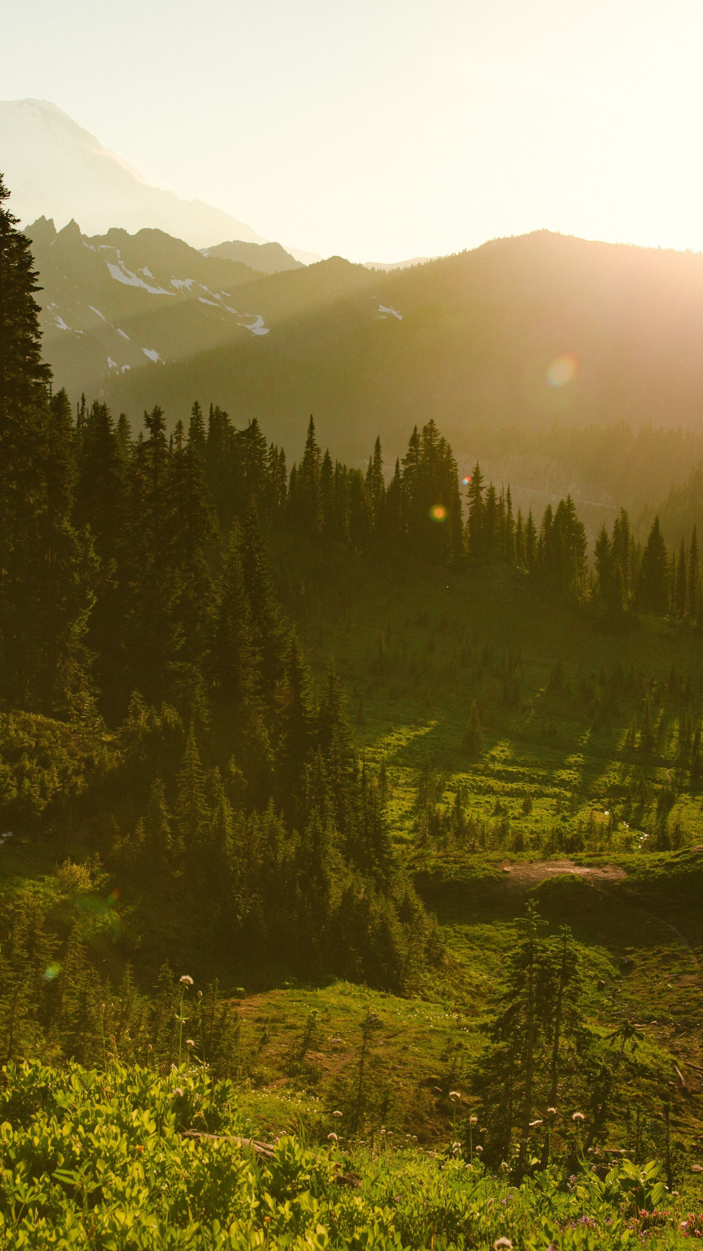 1440x2560  Скачать 1440x2560 пейзаж, озеро, зеленый, восход, природа, qhd samsung galaxy s6, s7, Edge, note, lg g4, lg g4, 1440x2560 обои, картинки 18883