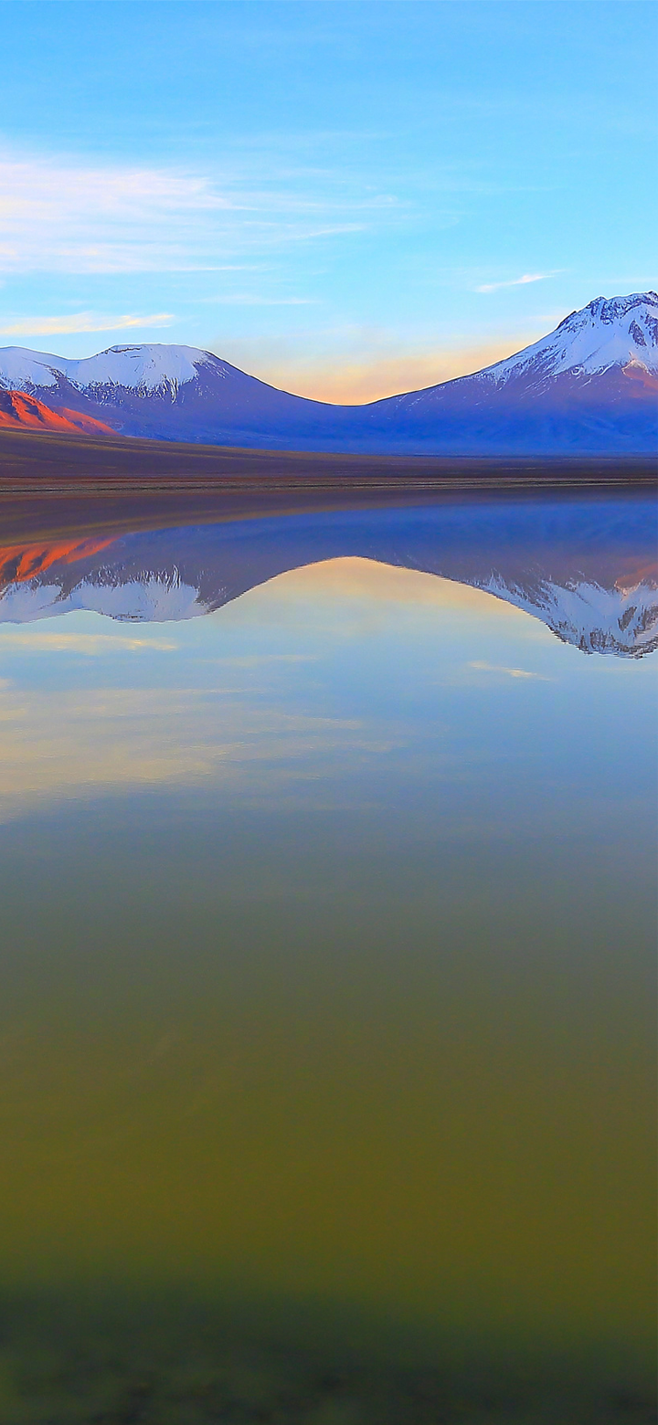 720x1560  Пин на доске Обои