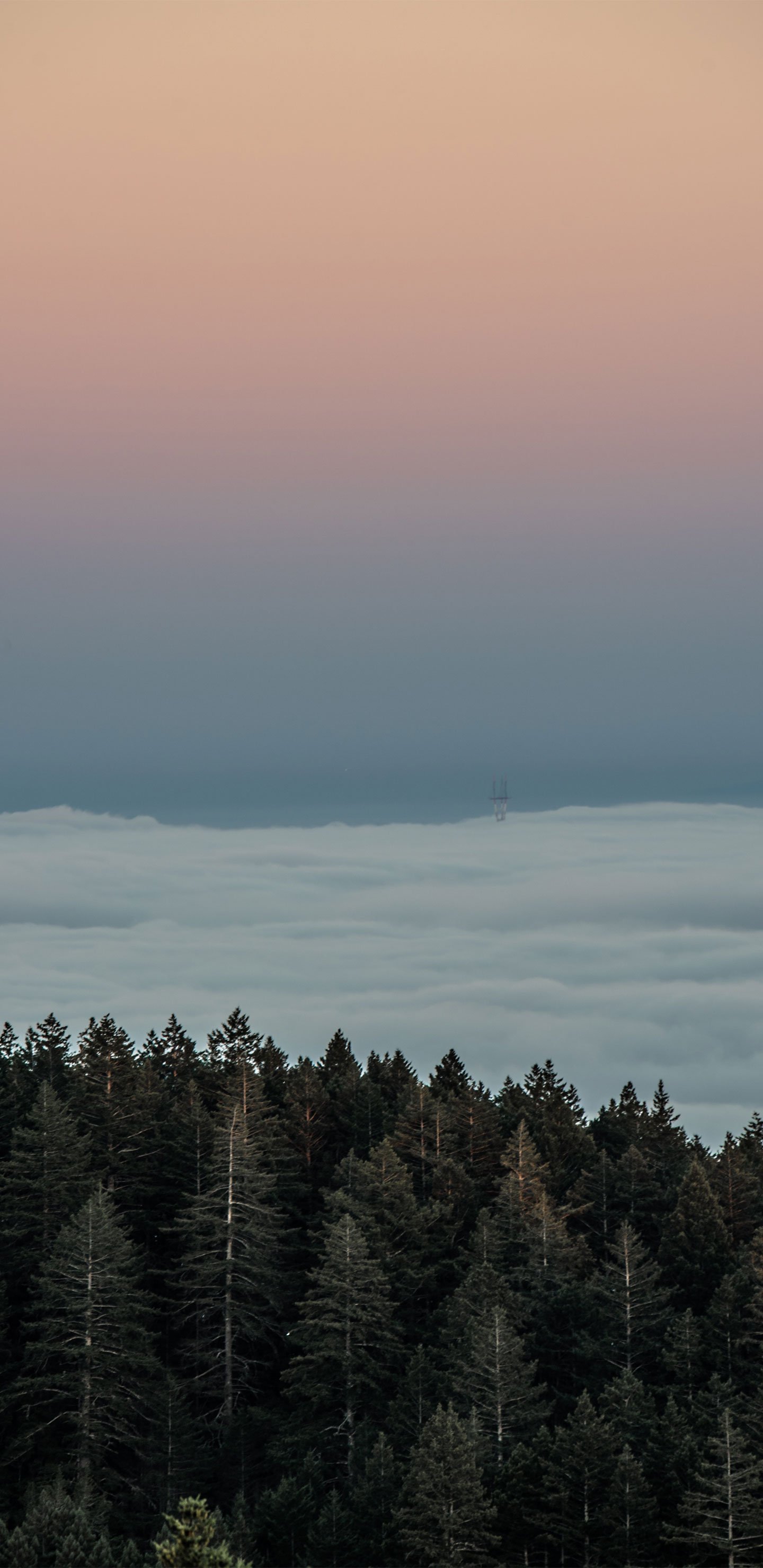 1440x2960  Скачать обои для Samsung s9 | МобКубок