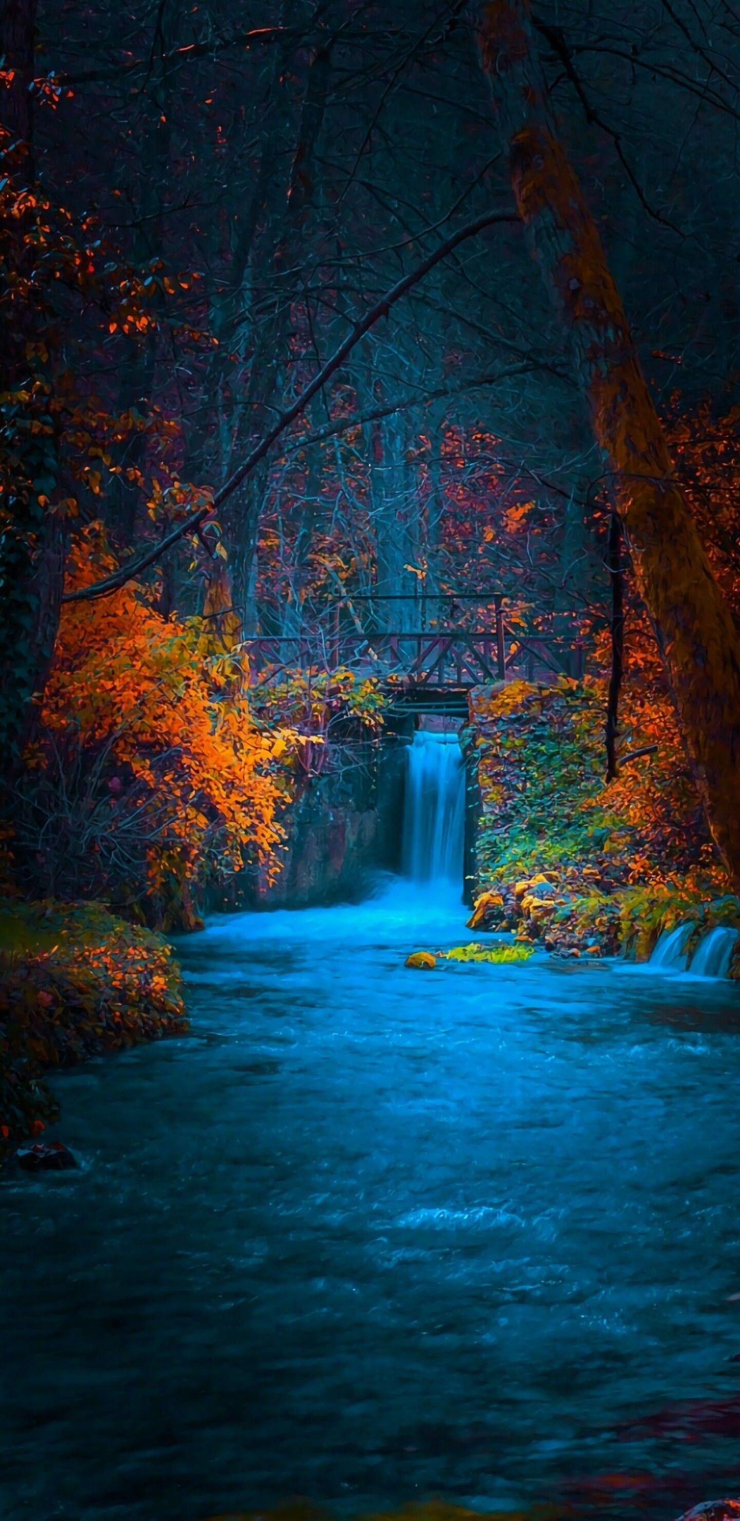 1440x2960  Лучшие HD-обои Samsung Galaxy S9 для iPhone — iLikeWallpaper