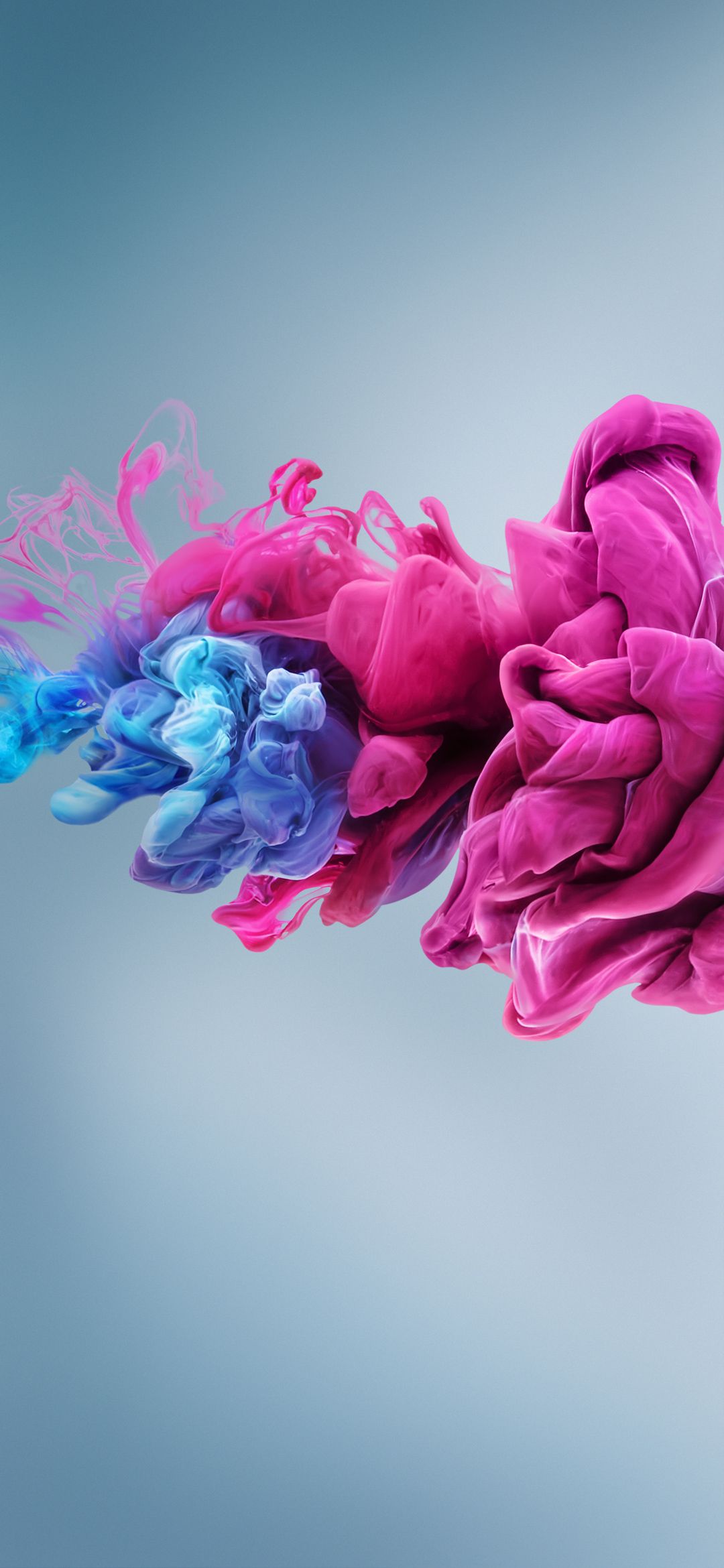 1080x2340  Обои ZTE Axon 11 (эксклюзивно для YTECHB) | Цветочные обои для телефона, Обои для рабочего стола, Обои Apple iphone