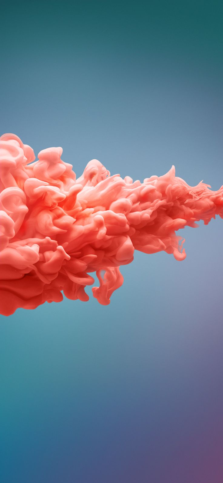 736x1594  Обои ZTE MiFavor 10 (эксклюзивно для YTECHB) | Обои для телефона, Цветочные обои для телефона, Обои для смартфона