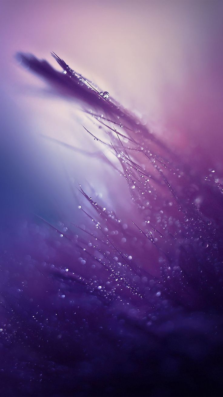 736x1309  Wallpapers for iPhone | Rain wallpapers, Iphone 5s wallpaper, Iphone 6  wallpaper