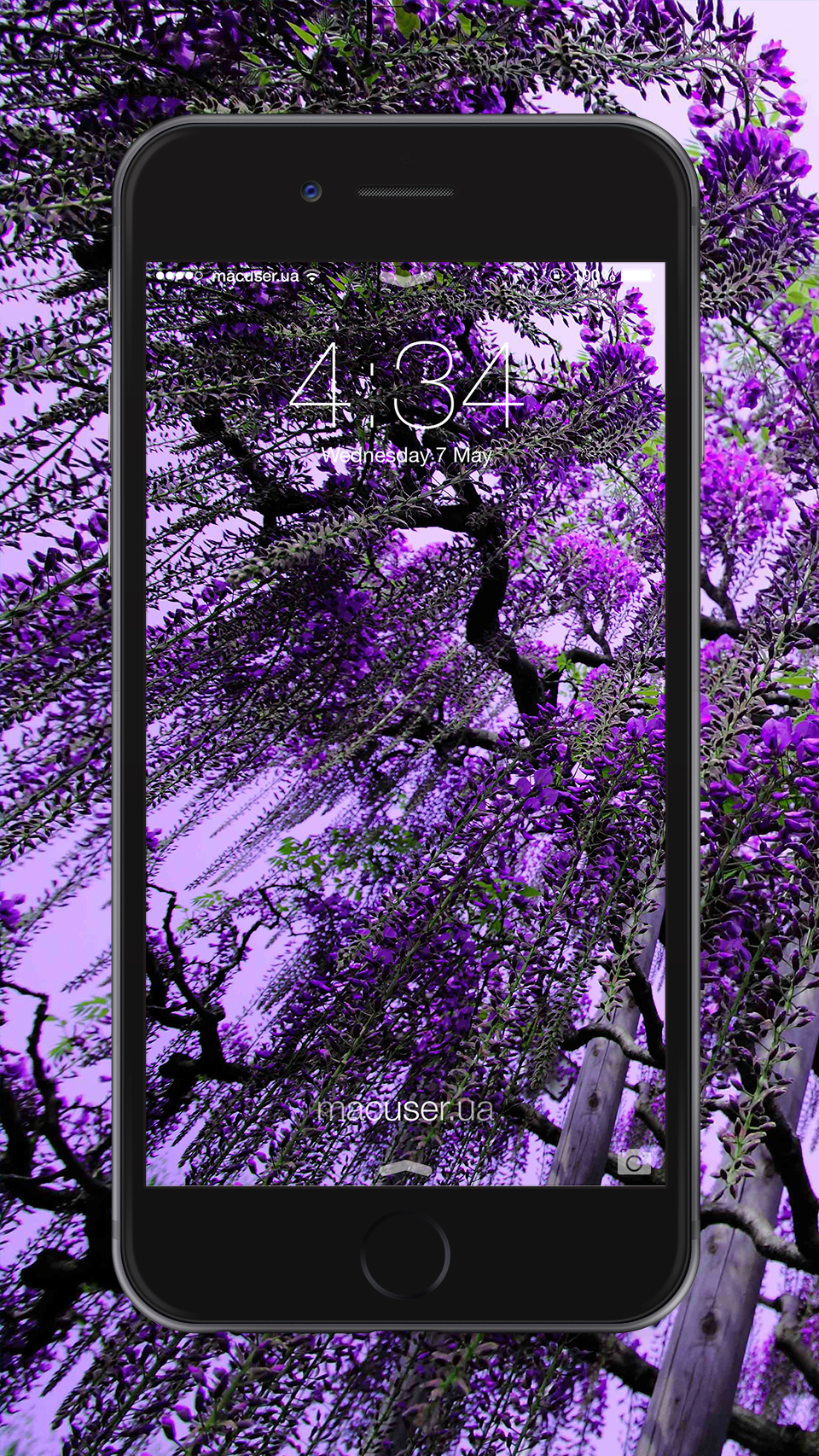 960x1706  Весенние обои для iPhone, iPad