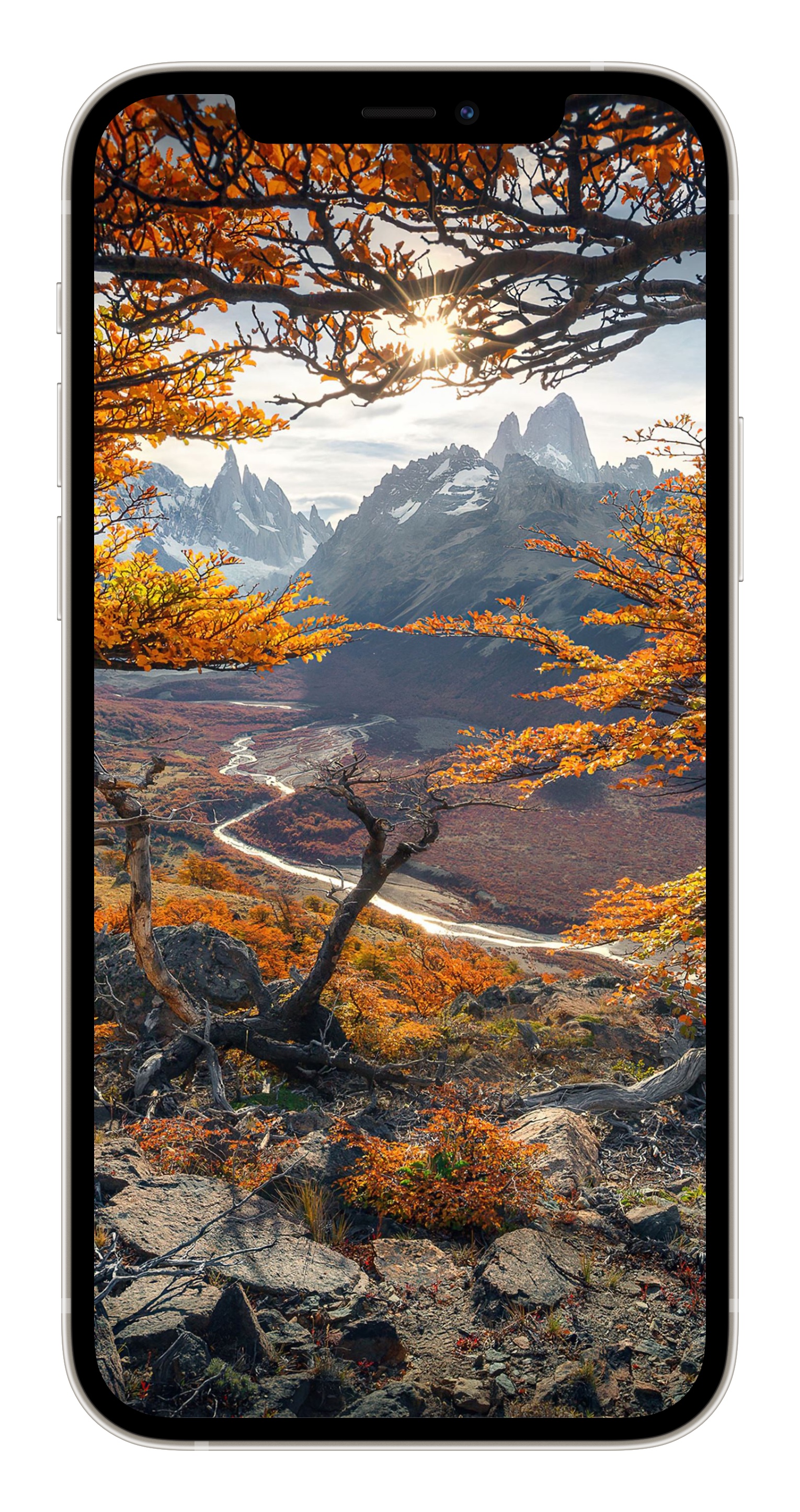 1530x2892  1080x1920 IPhone XS Max Wallpapers for IPhone 6S /7 /8 [Retina HD]