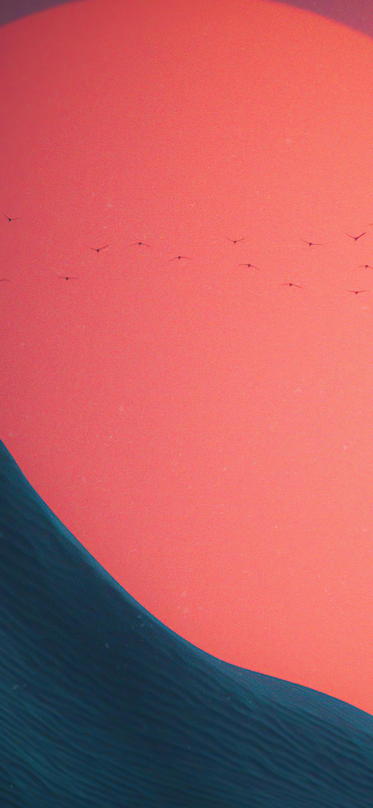 1284x2778  480x854 обои на телефон [22+ изображений]