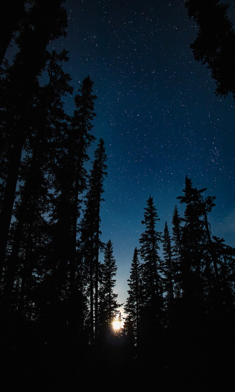 768x1280  Скачать картинки на телефон бесплатно. Загрузить бесплатные заставки и обои  для телефона и смартфона