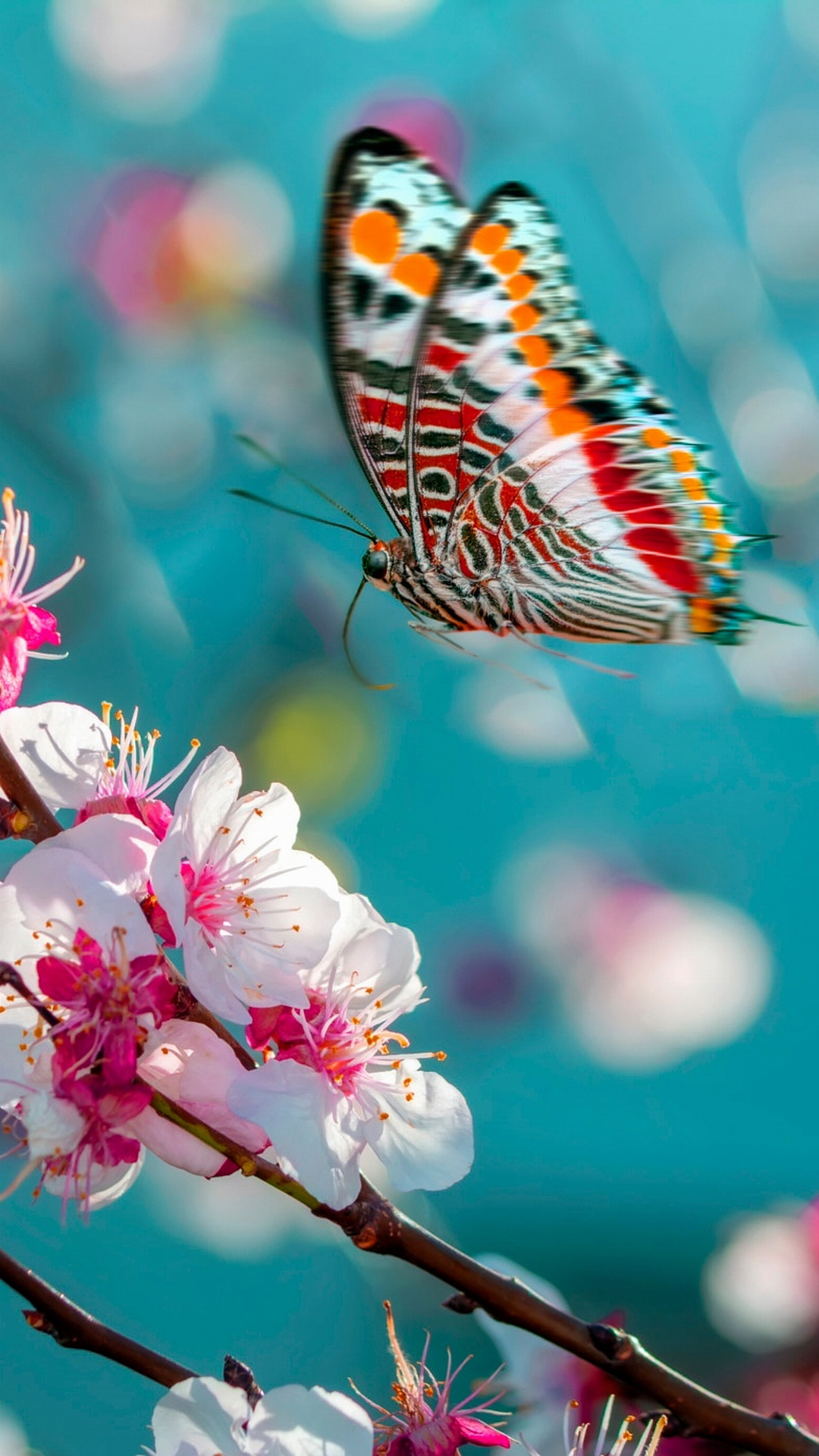 1080x1920  Обои на телефон — весна ТОП-100 | Zamanilka