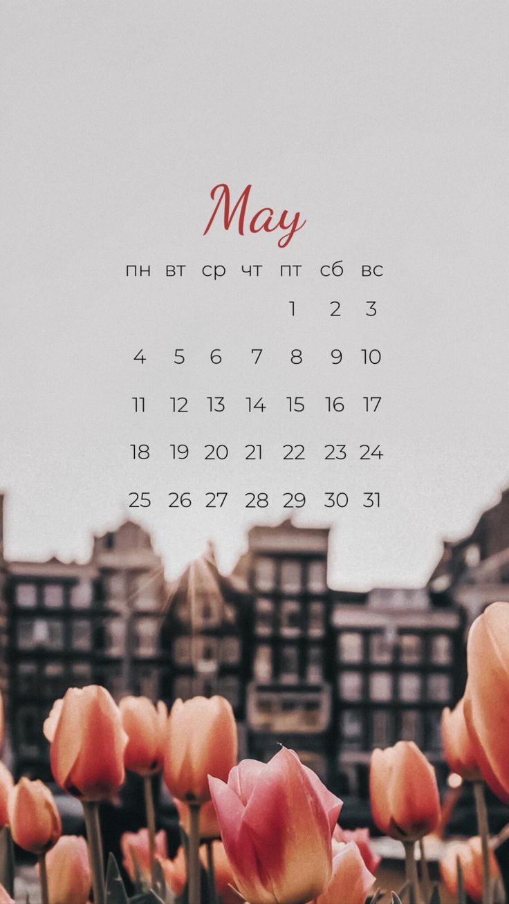 736x1307  Календарь май 2020 заставка на телефон обои | Календарь, Фотографии для  обложки, Нейтральные обои