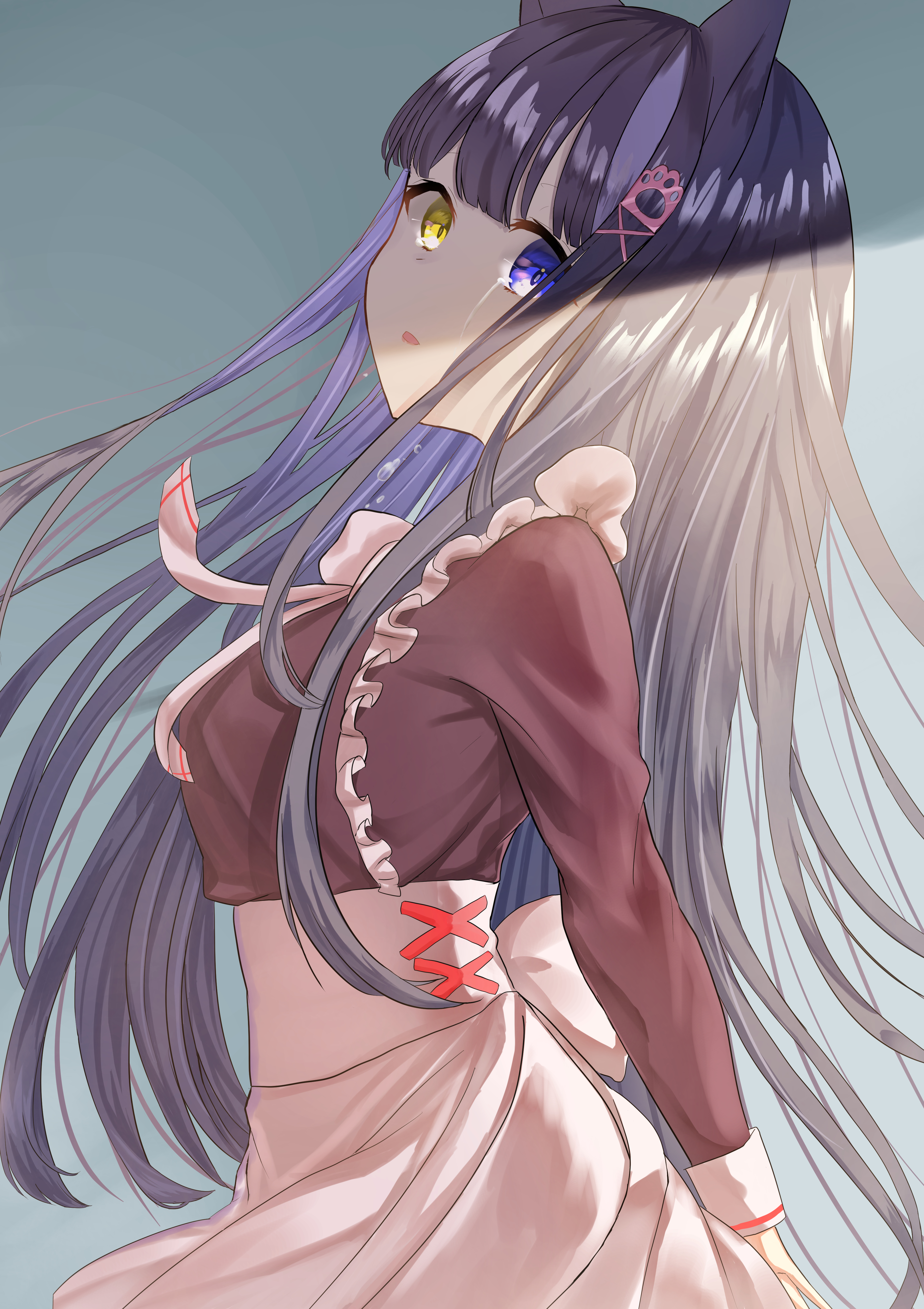 3541x5016  Обои на телефон: Неко, Ушки, Гетерохромия, Взгляд, Девушка, Аниме, 103386  скачать картинку бесплатно.