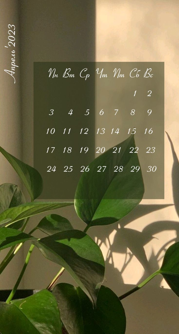 735x1367  Календарь апрель 2023, планер, ежедневник, обои на телефон, оформление  сториз, весна, плашка в 2023 г | Календарь, Обои, Праздничные открытки