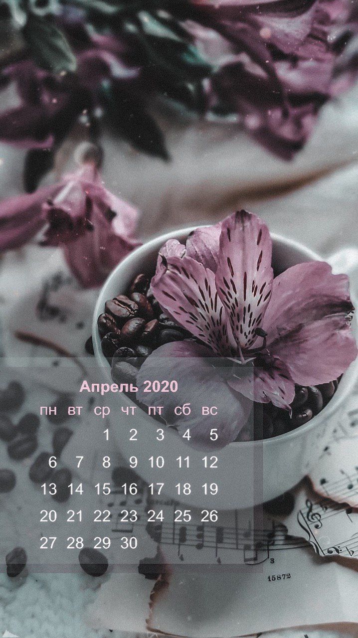 718x1280  Календарь апрель/календарь/картинка для сторис/ картинка для аватар |  Картинки, Картины, Инстаграм