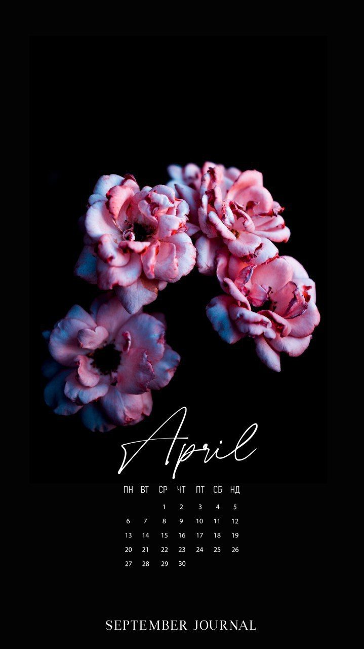 719x1280  Пин на доске Календарь 2020