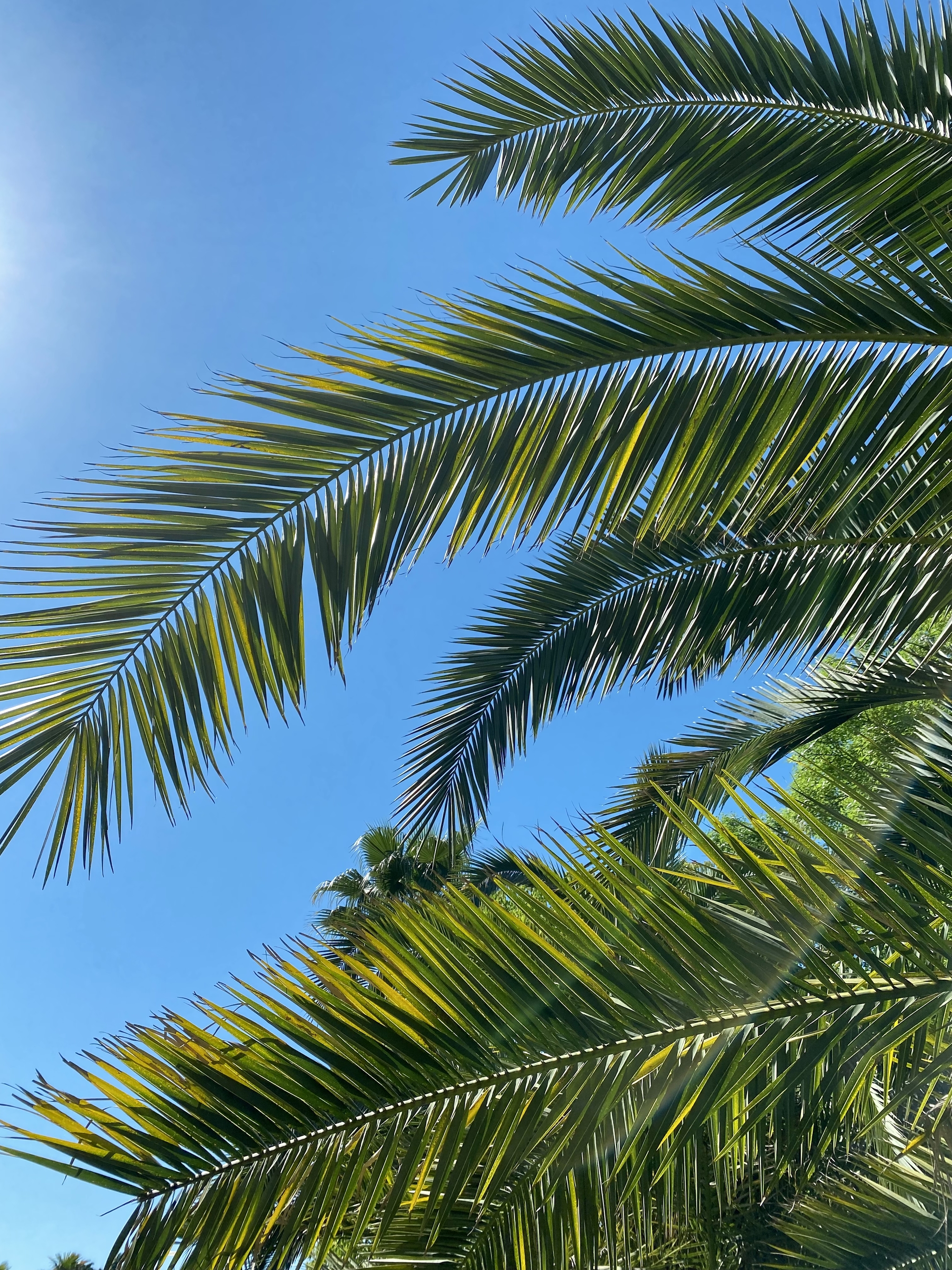 2048x2731  Обои на телефон | Пикабу