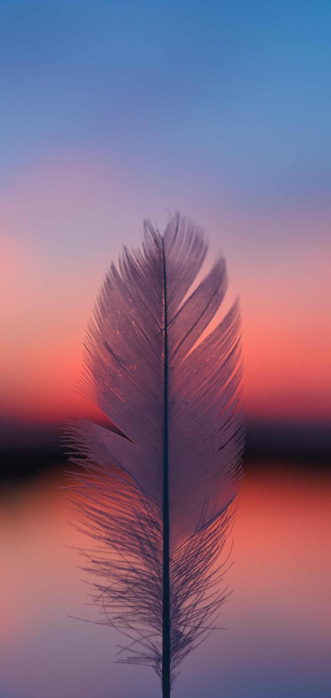 1080x2280  Обои для телефонов с высоким разрешением часть 2 (41 шт.) | Zamanilka