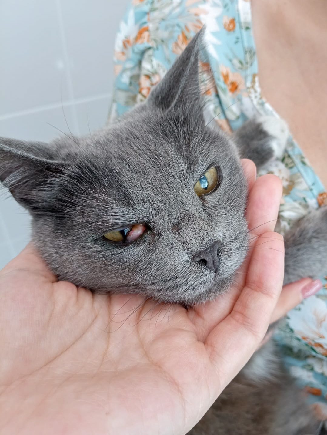 1079x1434  ГБУ Уфимская городская ветеринарная станция РБ — Работаем с 1960 года