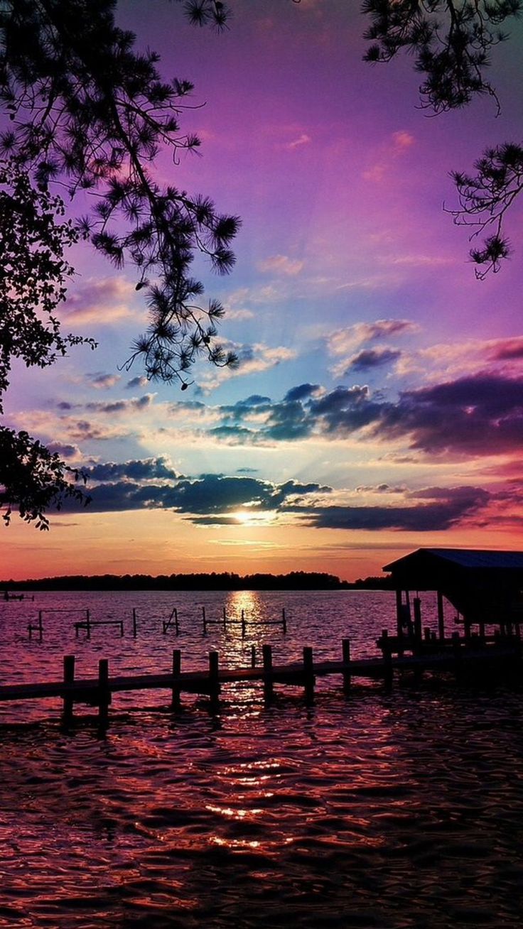 736x1308  Обои на телефон в высоком качестве (25 штук) | Zamanilka | City iphone  wallpaper, Night sky wallpaper, Beautiful summer wallpaper