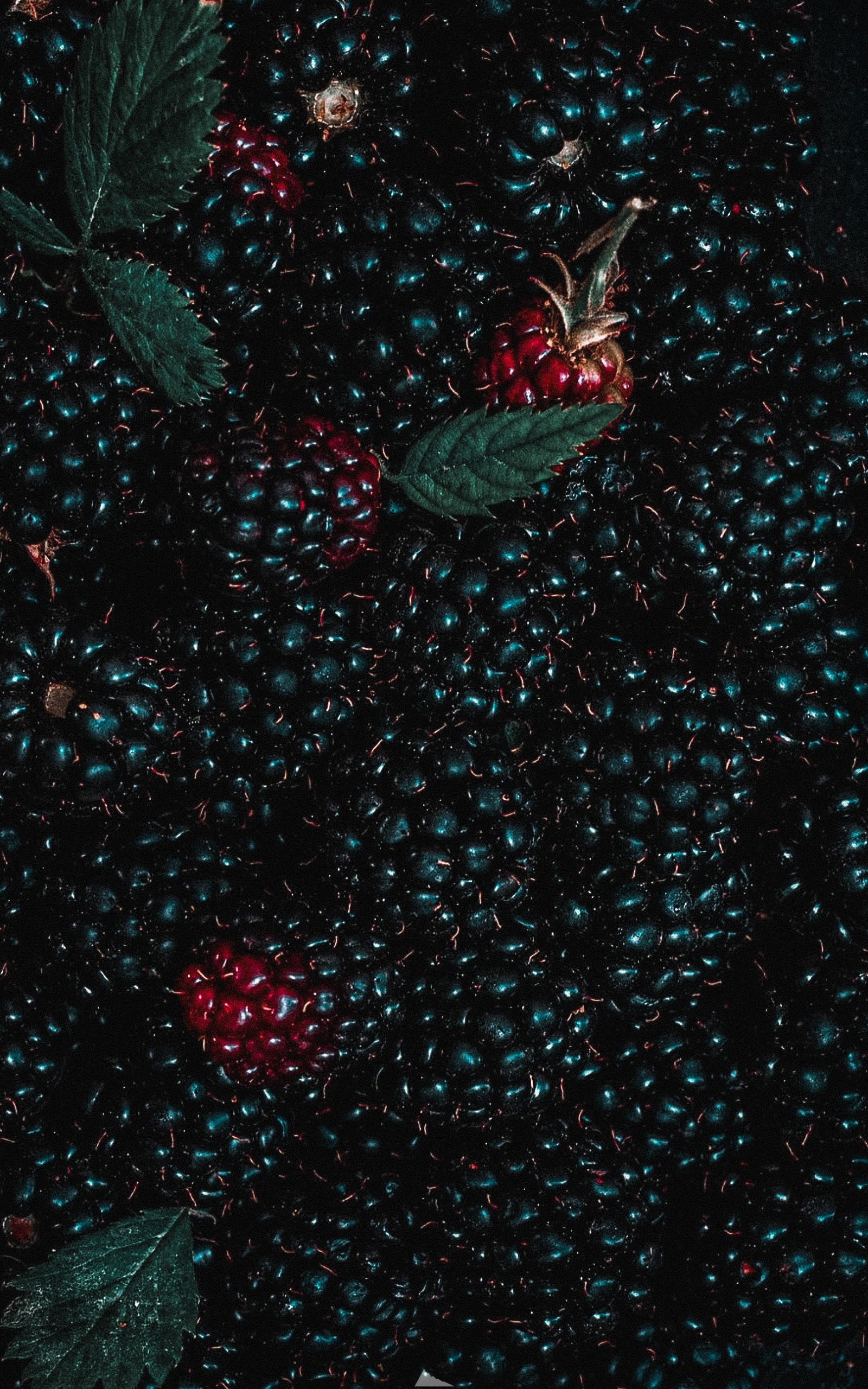 1600x2560  Обои на телефон в HD качестве красивые ежевика ягода вкусно обои для айфон  хорошее качество свежая ягода | Картины, Абстрактное, Картинки