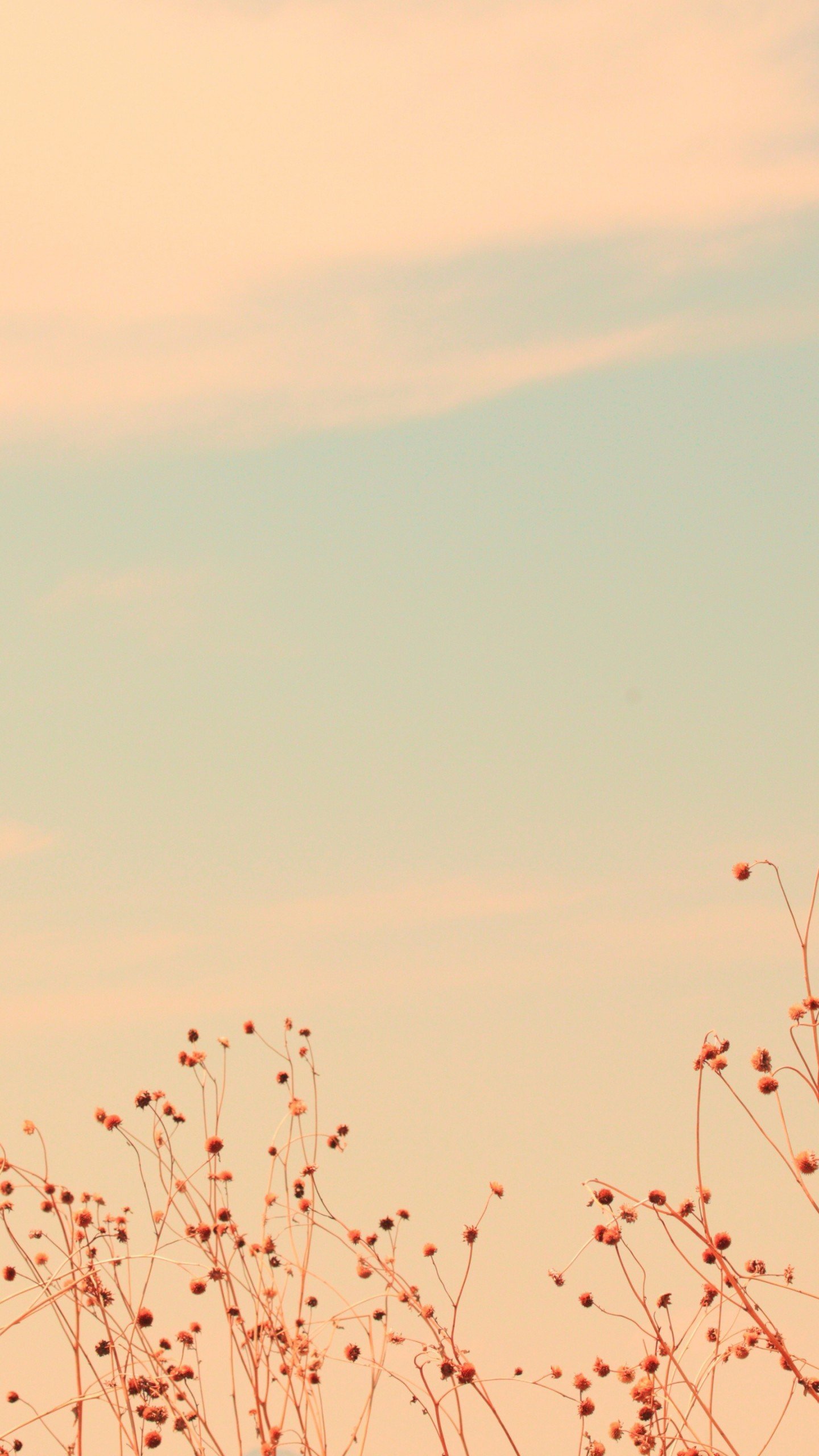 1440x2560  Картинки на заставку телефона светлые - 67 фото