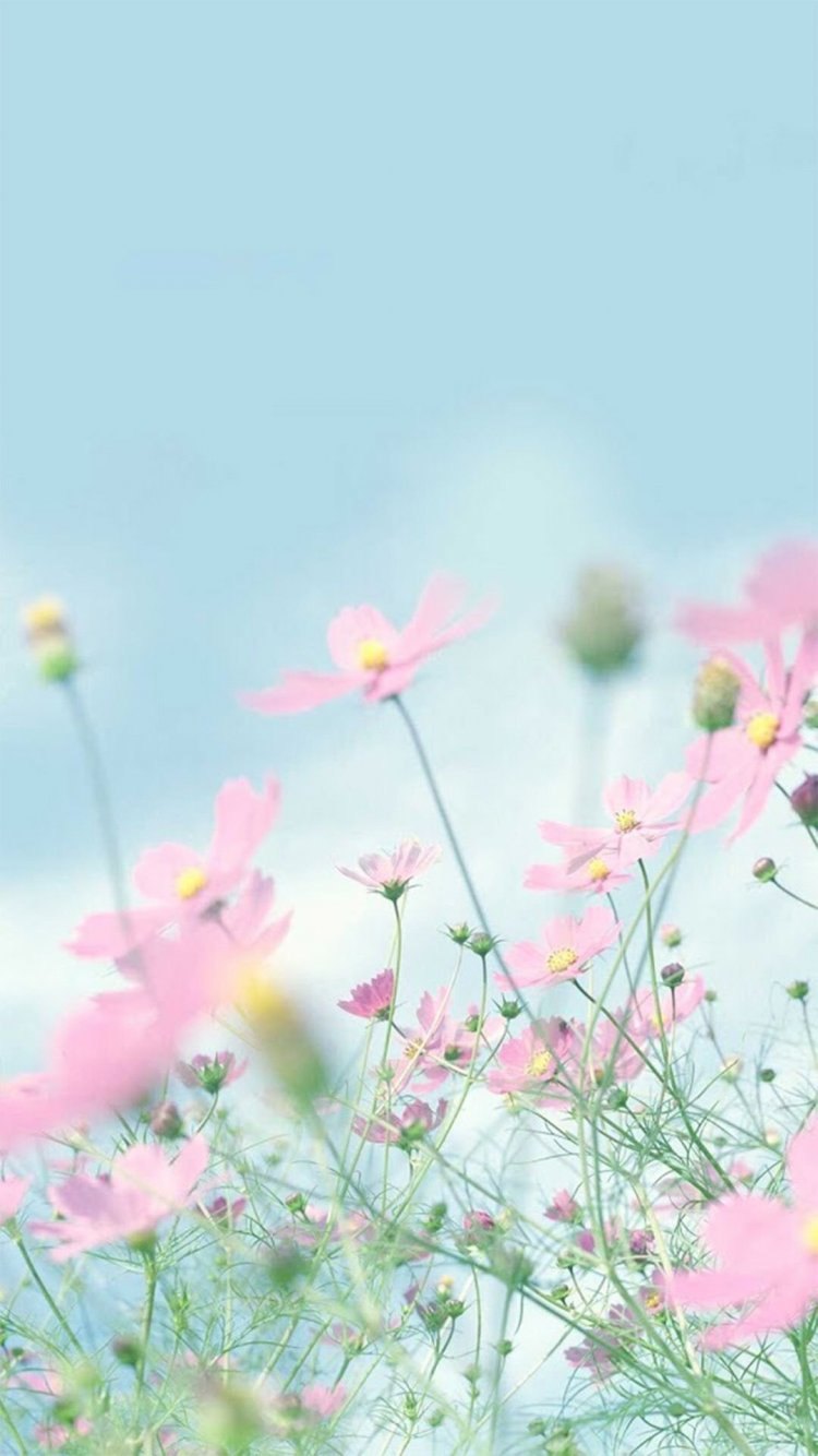 750x1334  Заставка на телефон в пастельных тонах - фото и картинки abrakadabra.fun